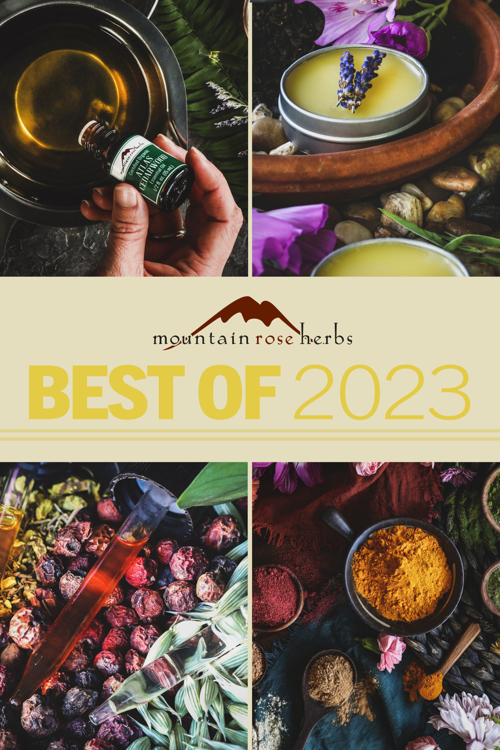 Pinterest Image for Best of 2023