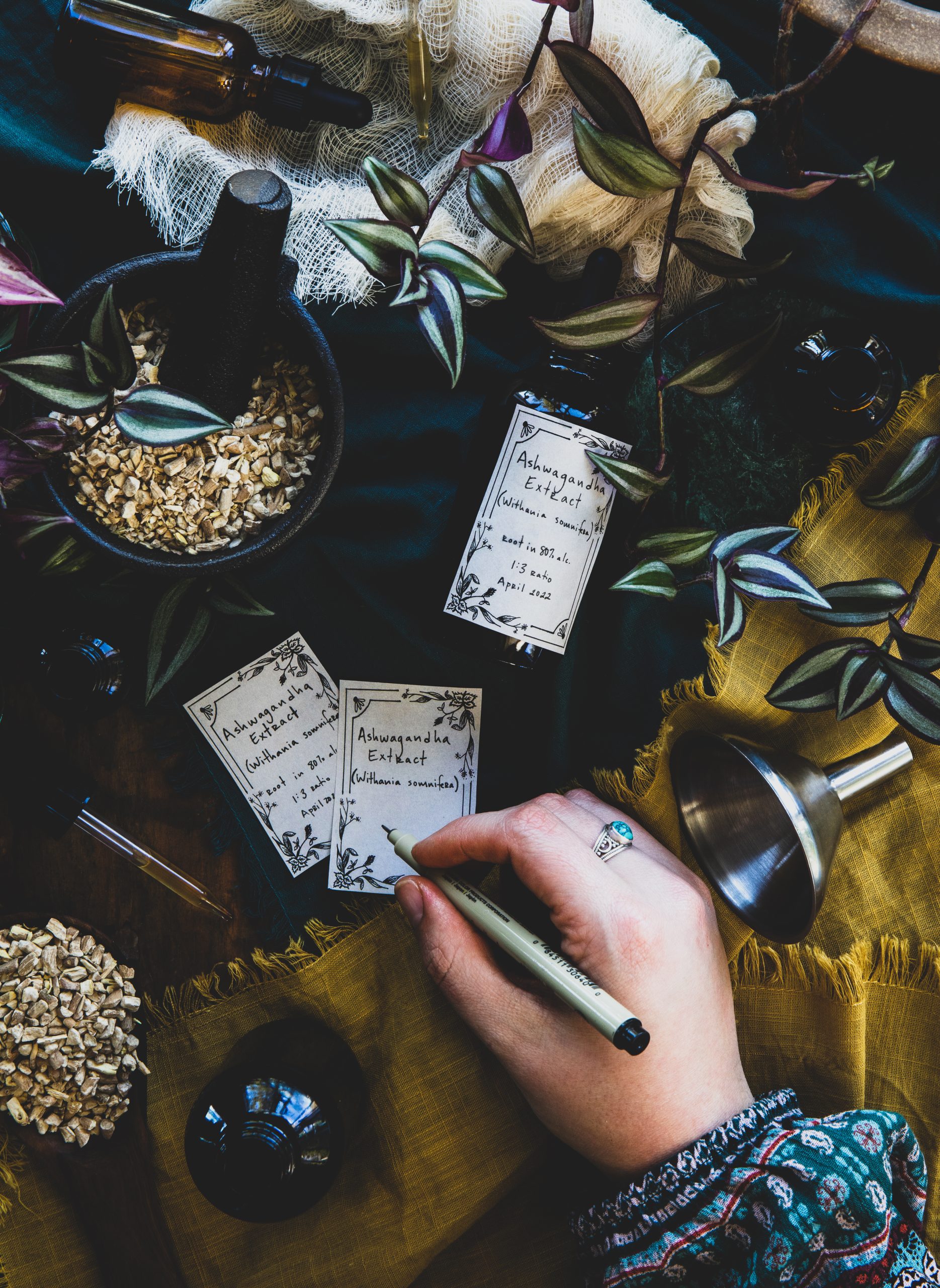 Labeling the tinctures we have made using the free downloadable apothecary label template..