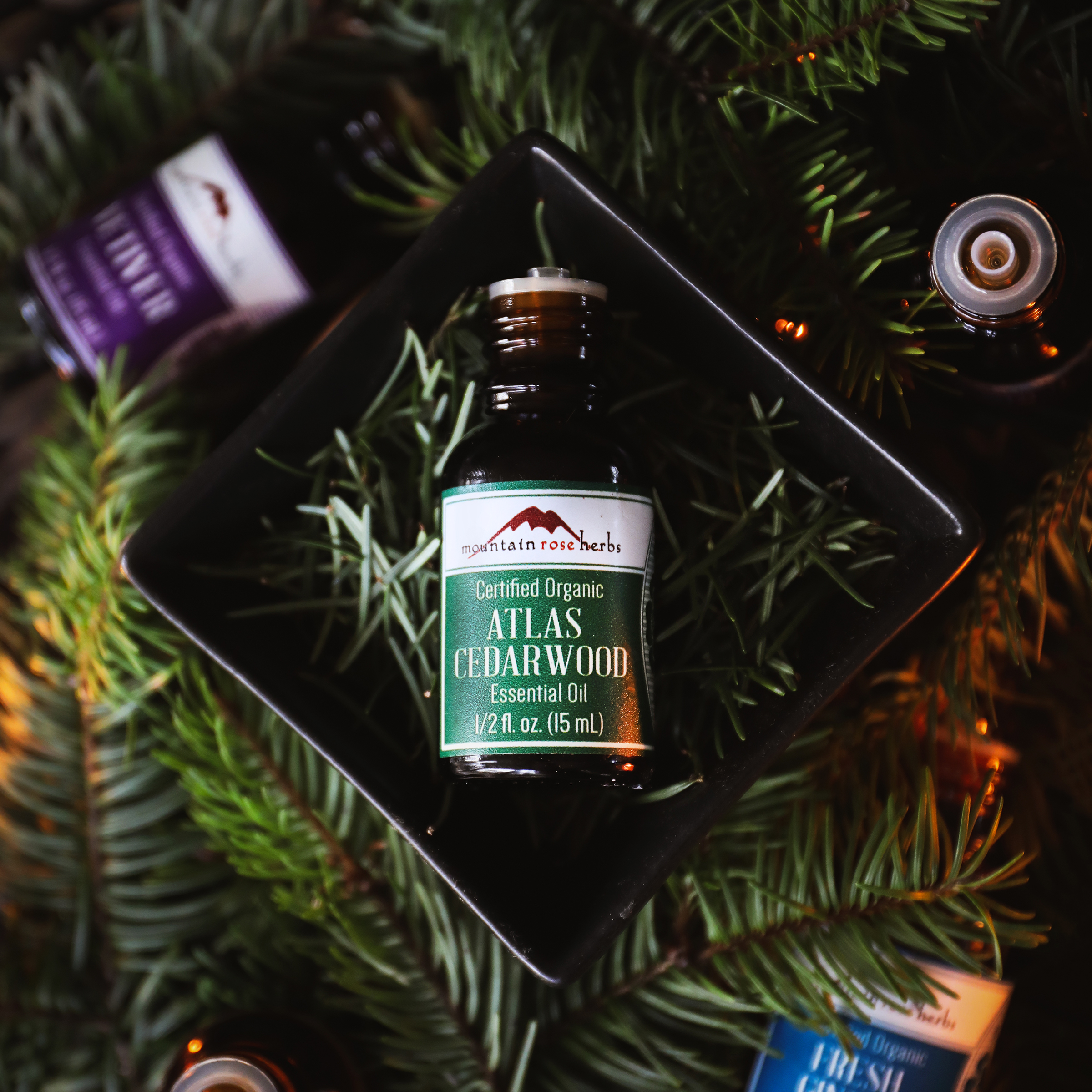 Atlas Cedar essential oil