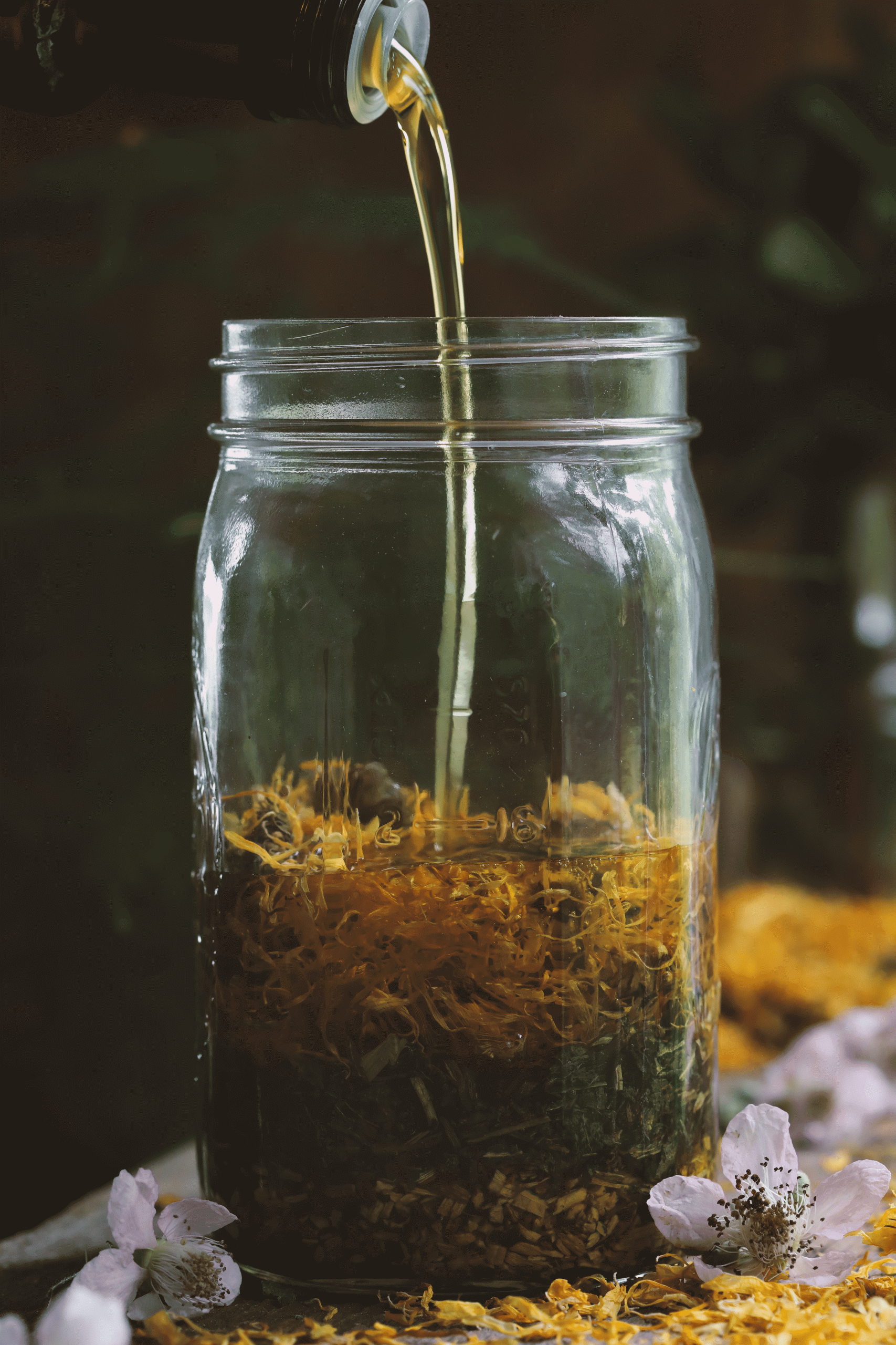 Gif of organic olive oil pouring over calendula, comfrey leaf and Oregon grape in a jar.