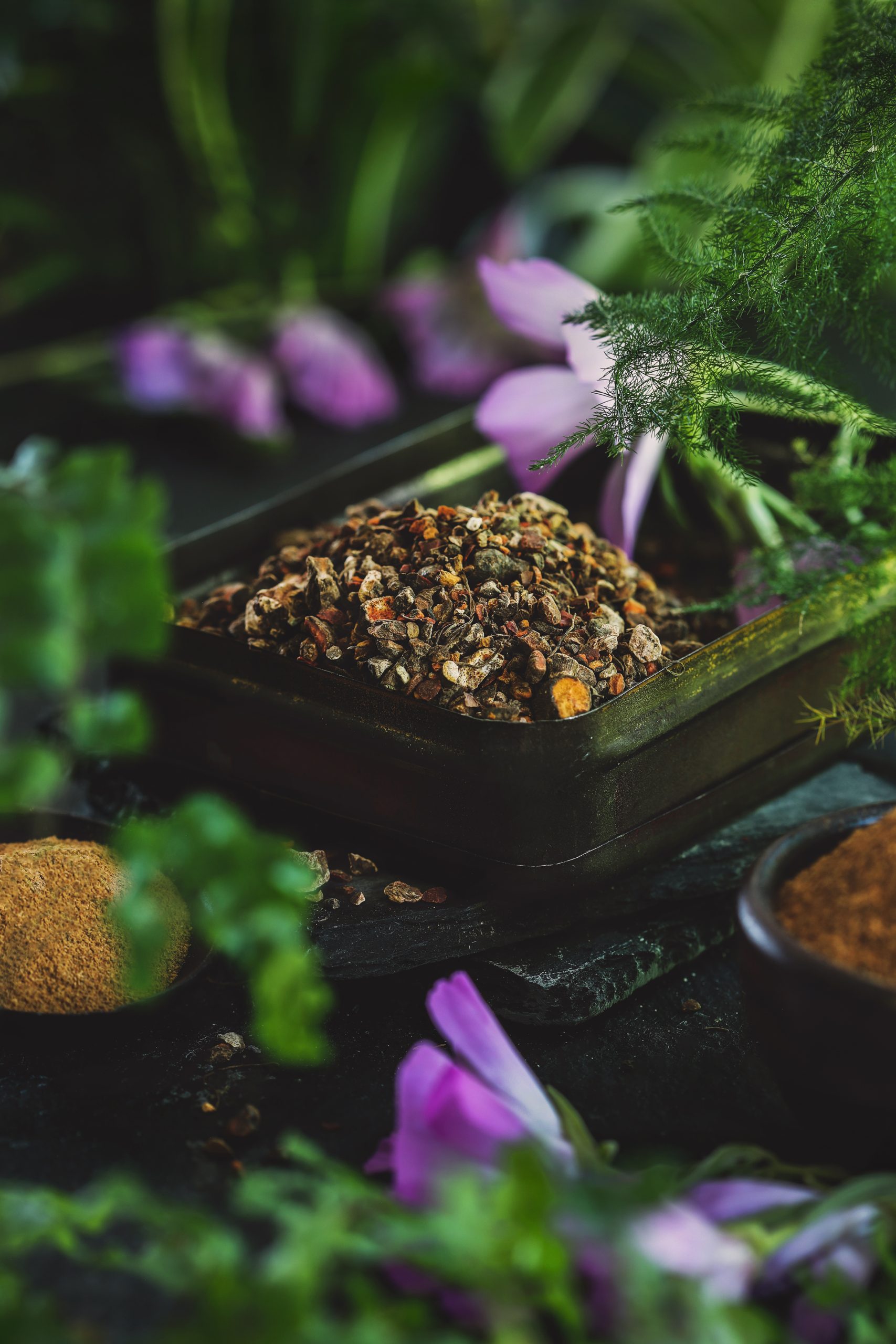 Dried bloodroot in a dish surrounded by greenery