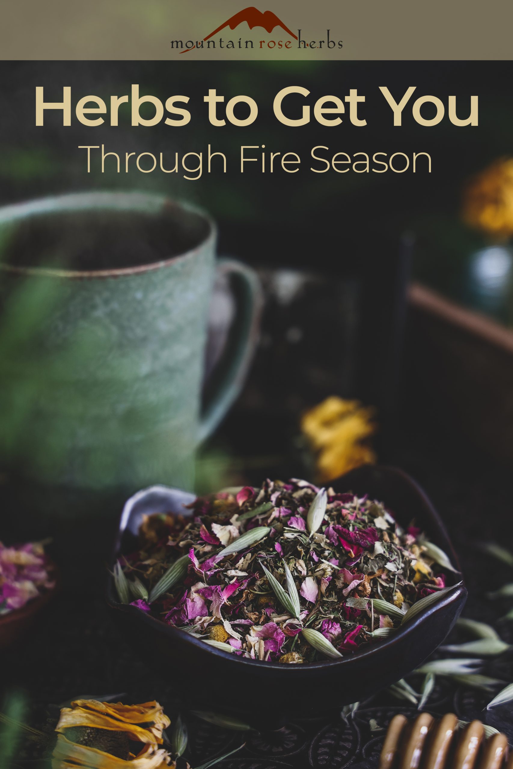 Pinterest Image for Breathing Easily Through Fire Season Blog