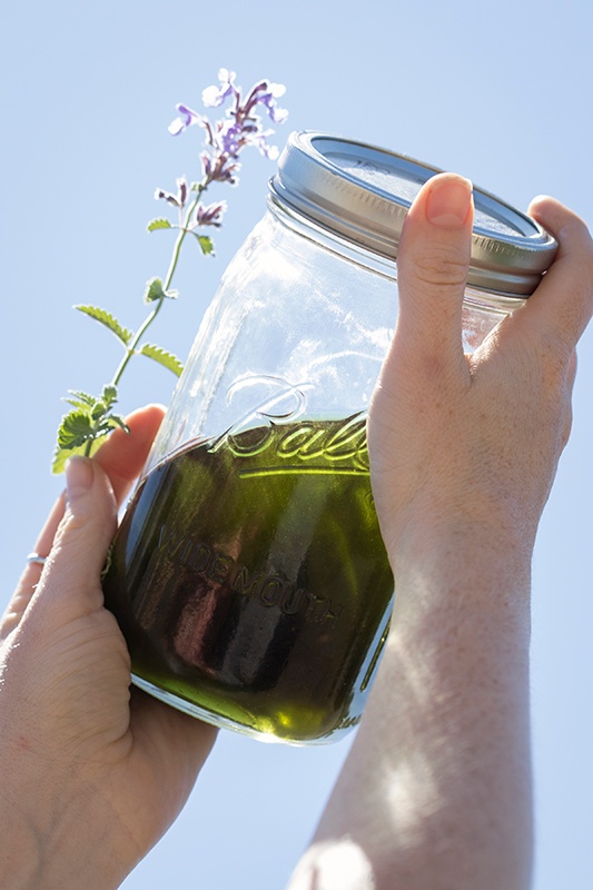 DIY: Herbal Repellent Recipes