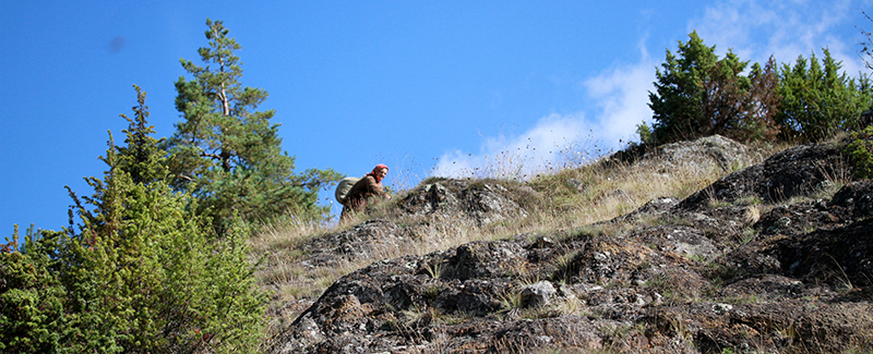 Botanical Traditions and Innovations in Bulgaria