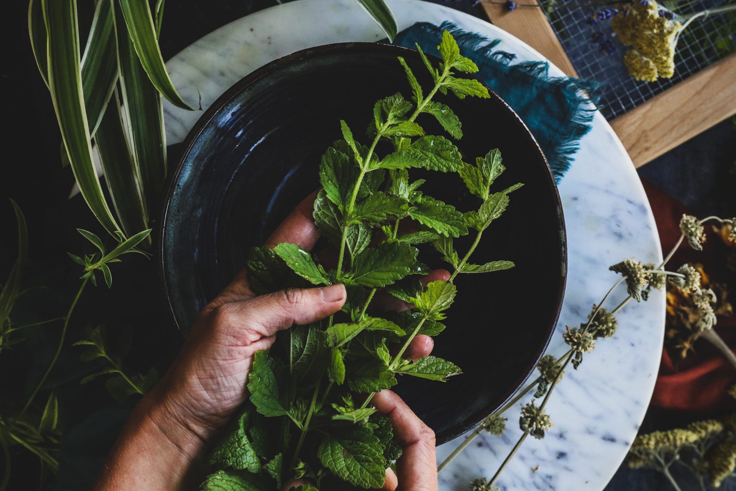 Two hands rinse freshly picked peppermint before use