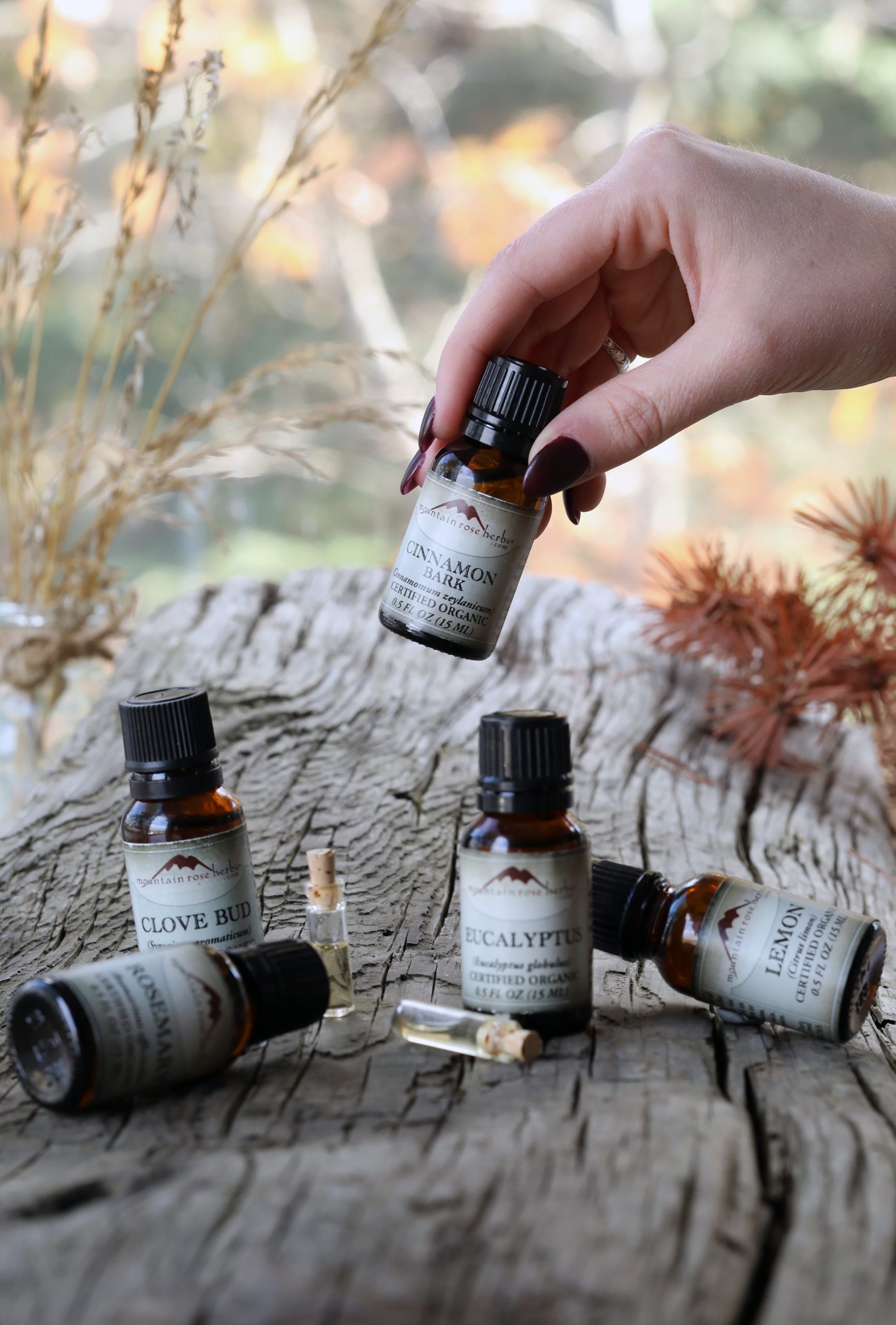 Hand placing bottle of essential oil down with other bottles on rustic piece of wood in natural setting in fall.