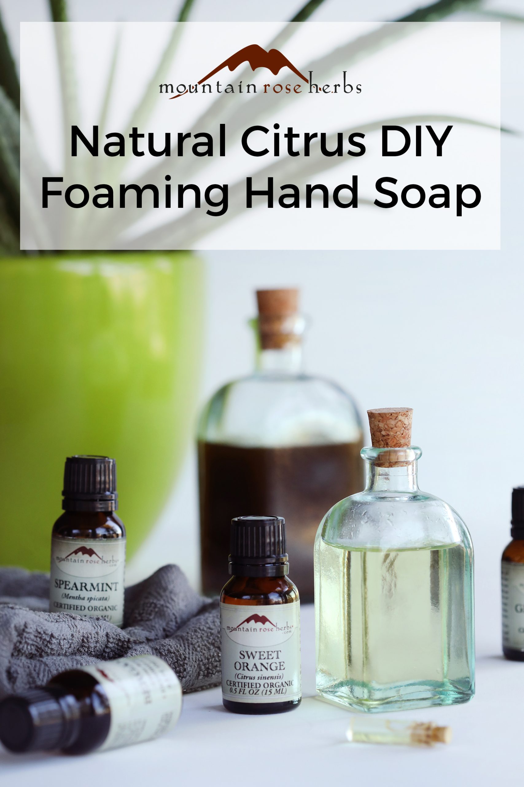 Ingredients are gathered to make a natural DIY foaming hand soap using organic essential oils, natural castille liquid soap, and organic avocado oil as a carrier oil. 
