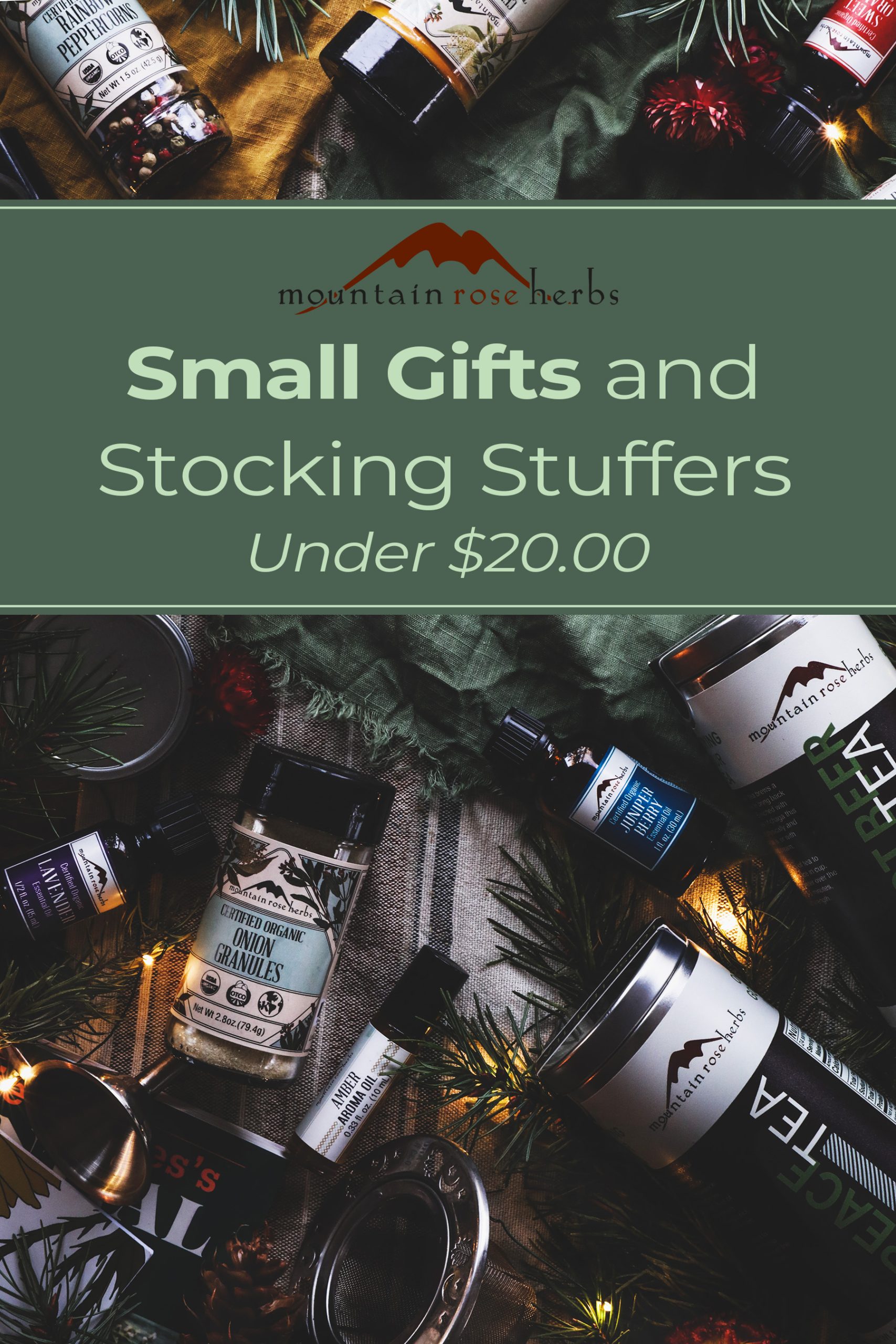 Pinterest image of Gifts Under 20 PIN!