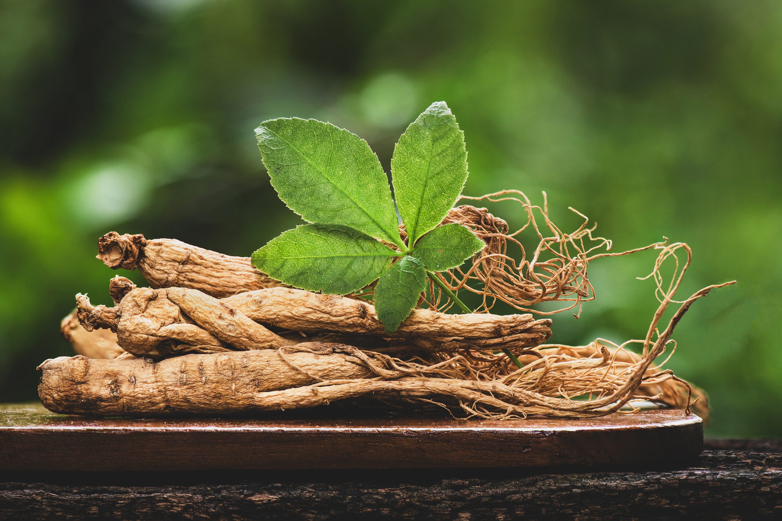 Ginseng Root and Leaf