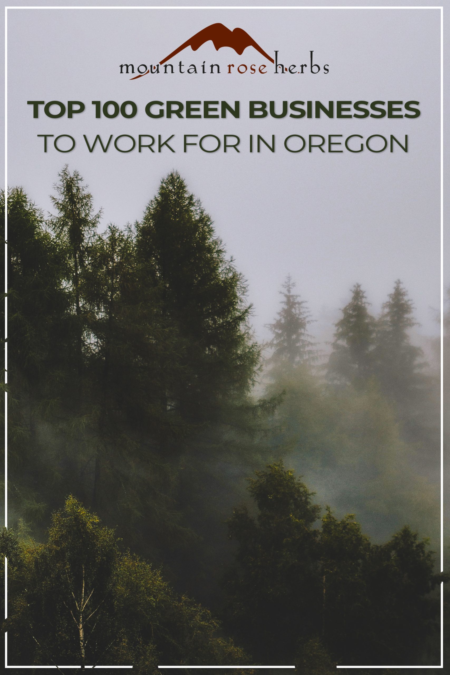 Pinterest image for 100 Best Green Companies to Work for award.