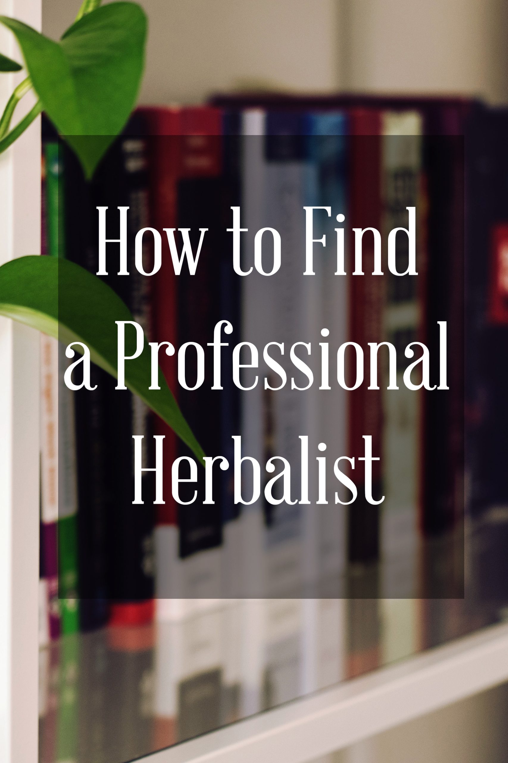Pinterest link to Mountain Rose Herbs blog post How to Find a Professional Herbalist