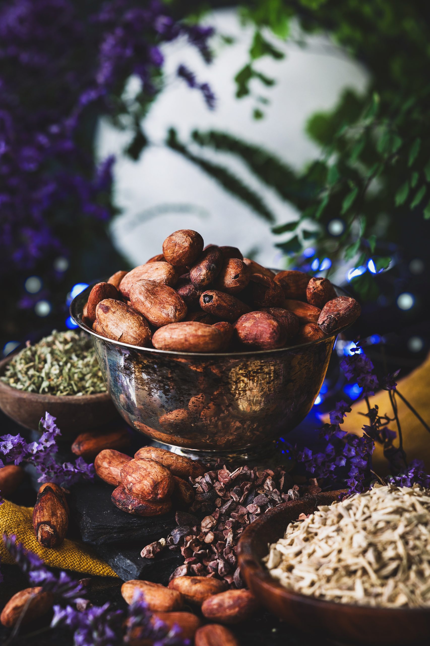 A bowl of cacao beans with damiana and eleuthero near it