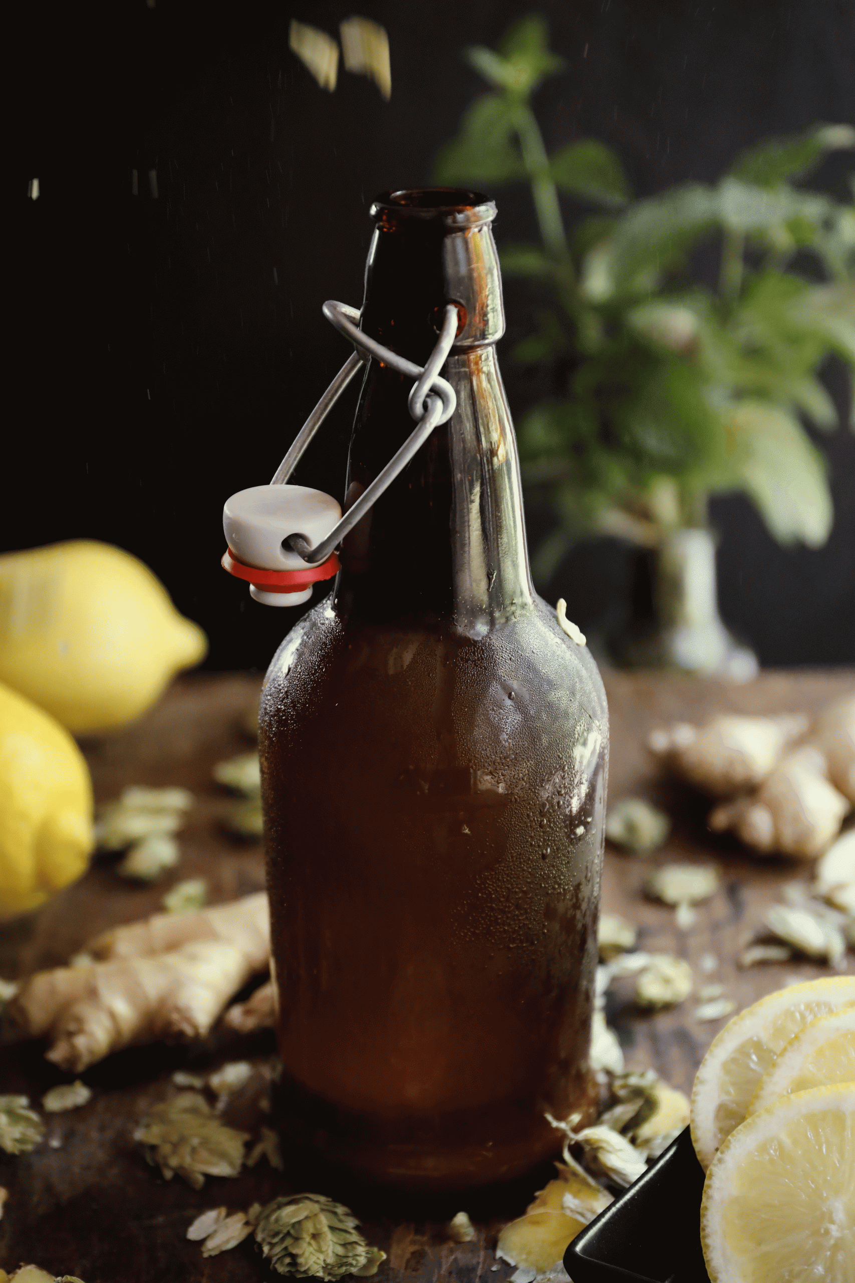 Hoppy ginger beer GIF