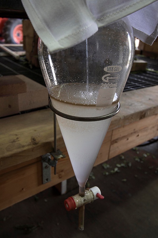 Hydrosol output from distiller