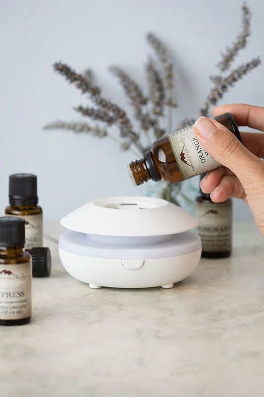 New in the Shop: Lily Electric Diffuser