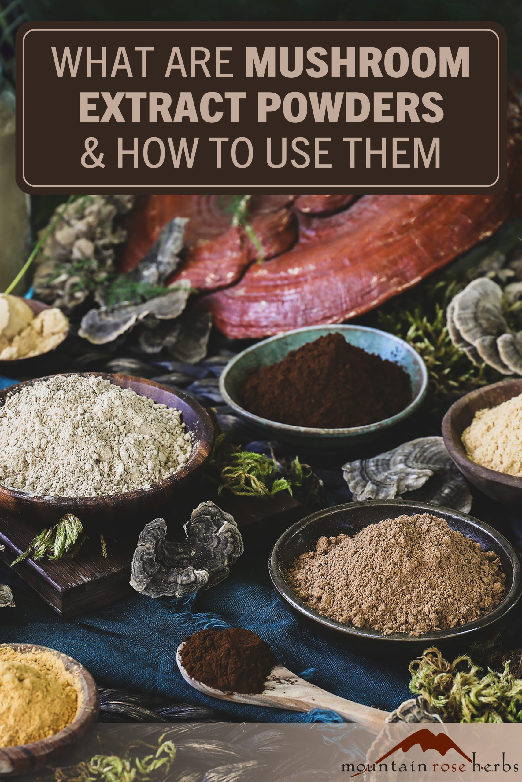 Mushroom Extract Powders PIN