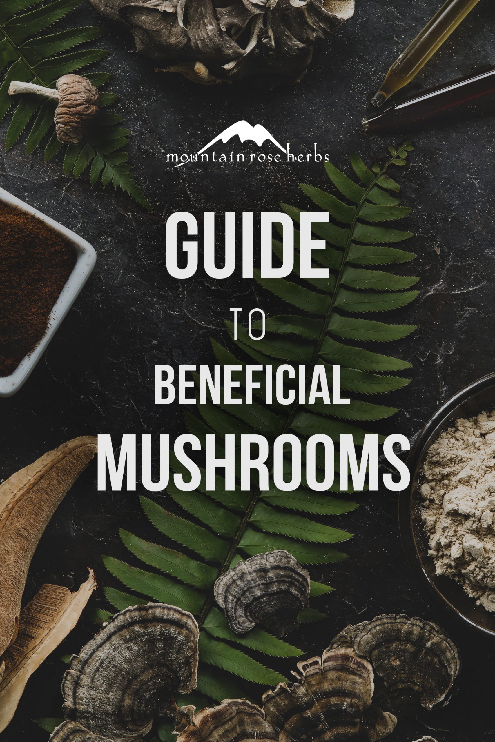 Guide to Beneficial Mushrooms