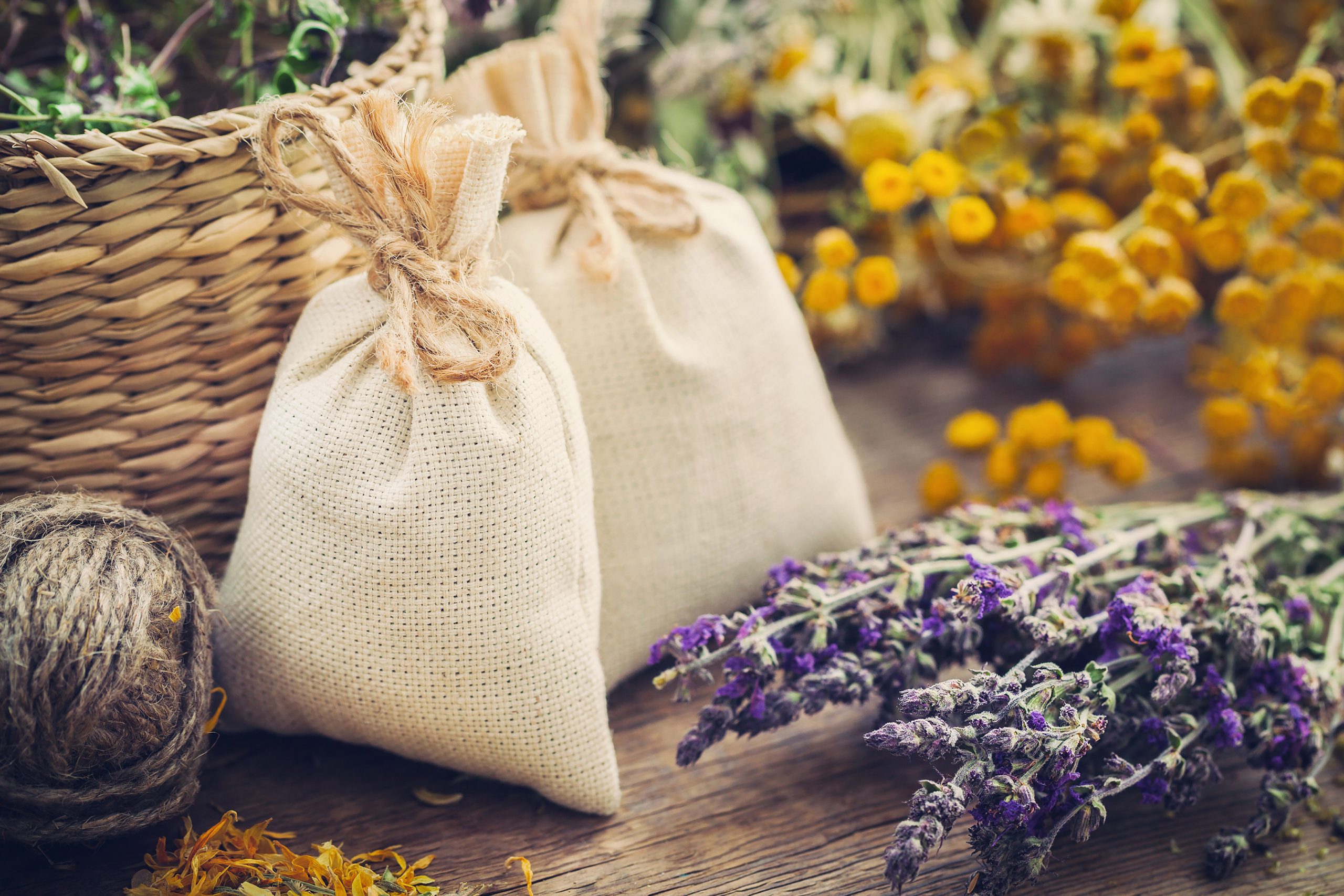Poems of Perseverance-Herbs