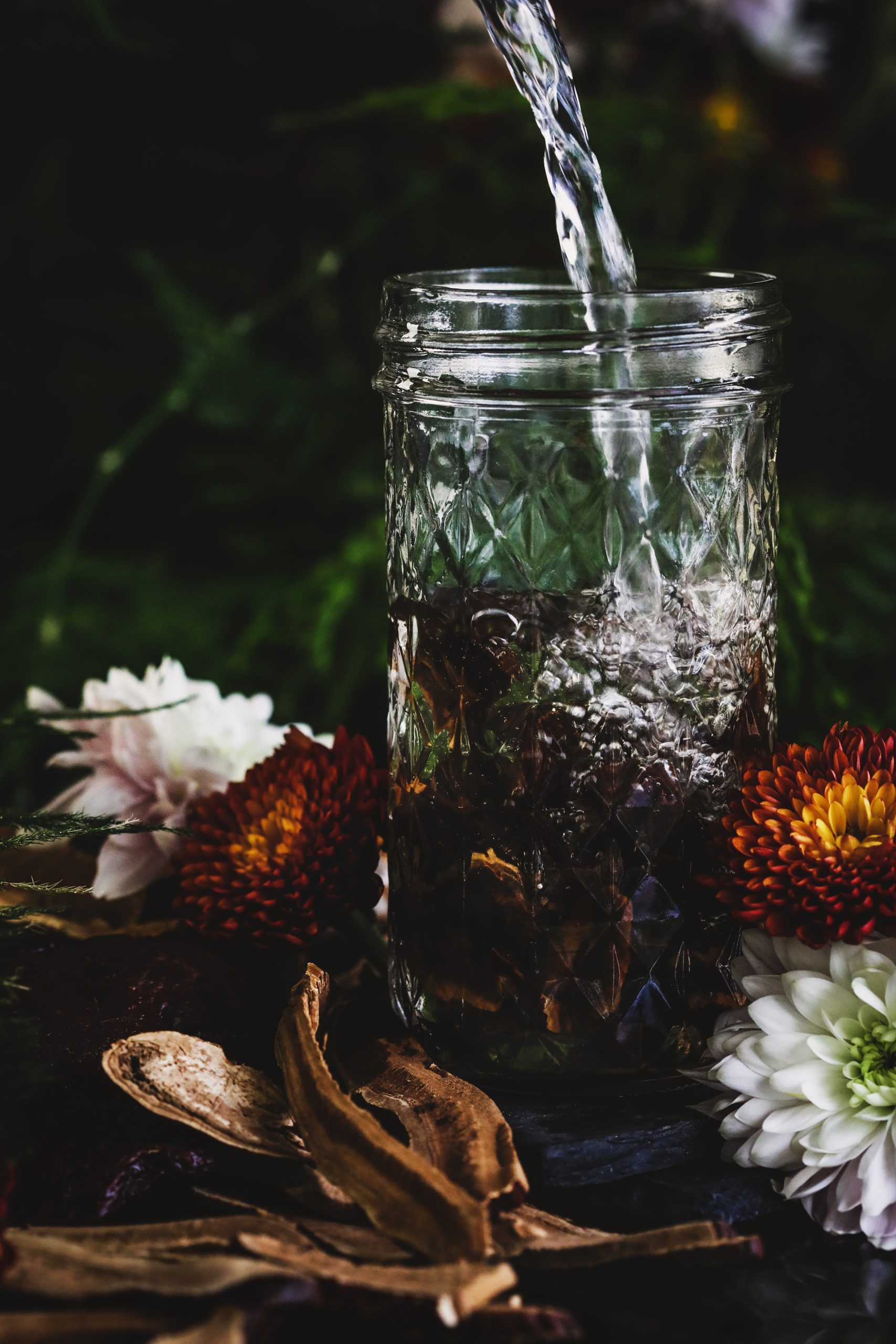 Clear alcohol being poured over reishi slices in glass jar. Reishi Extraction