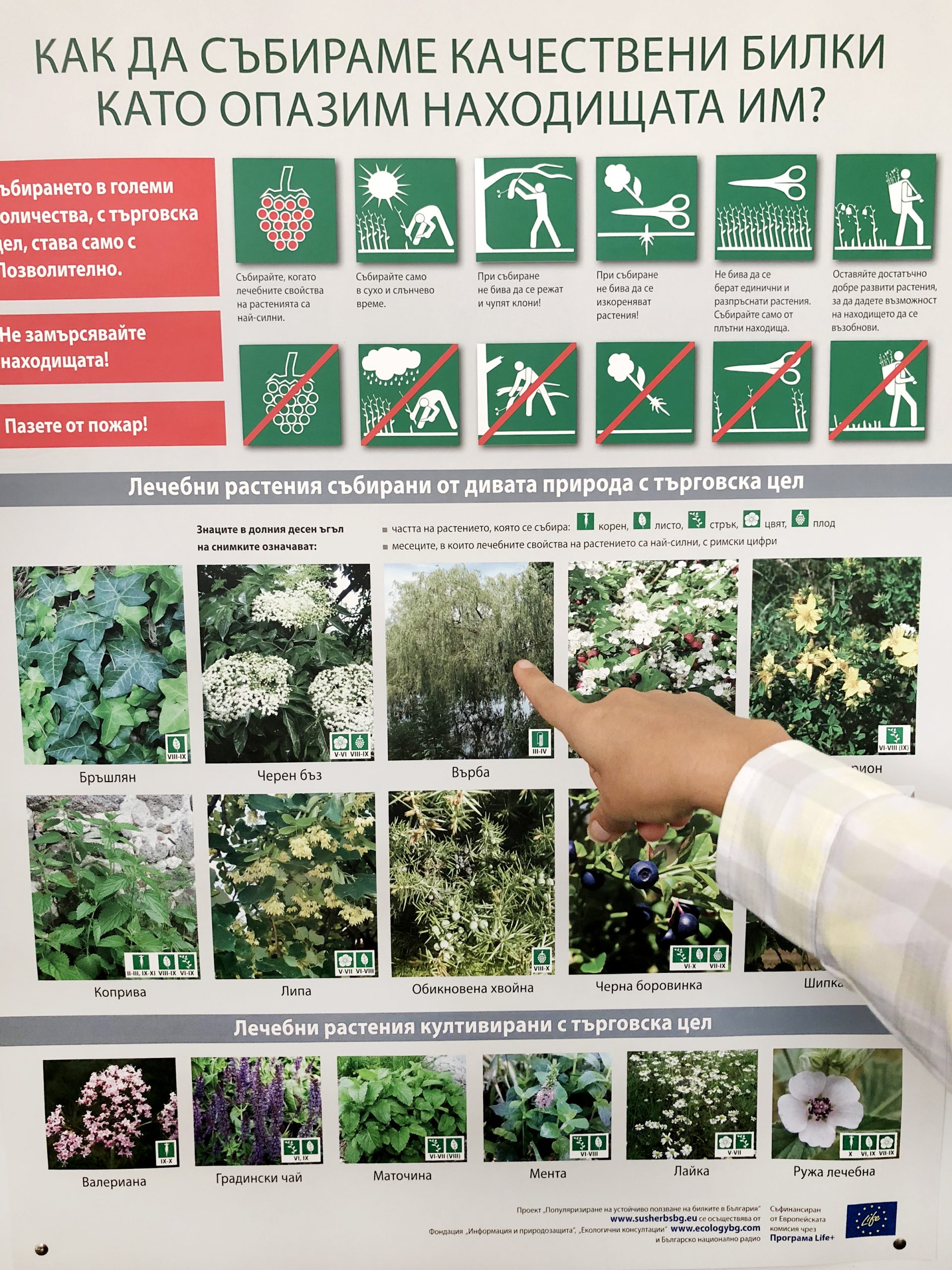 Info-graphic about sustainability practices in Bulgaria. 