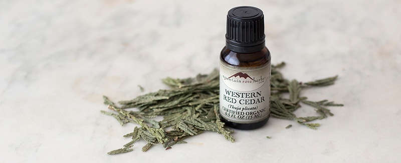 New in the Shop: Organic Western Red Cedar Essential Oil