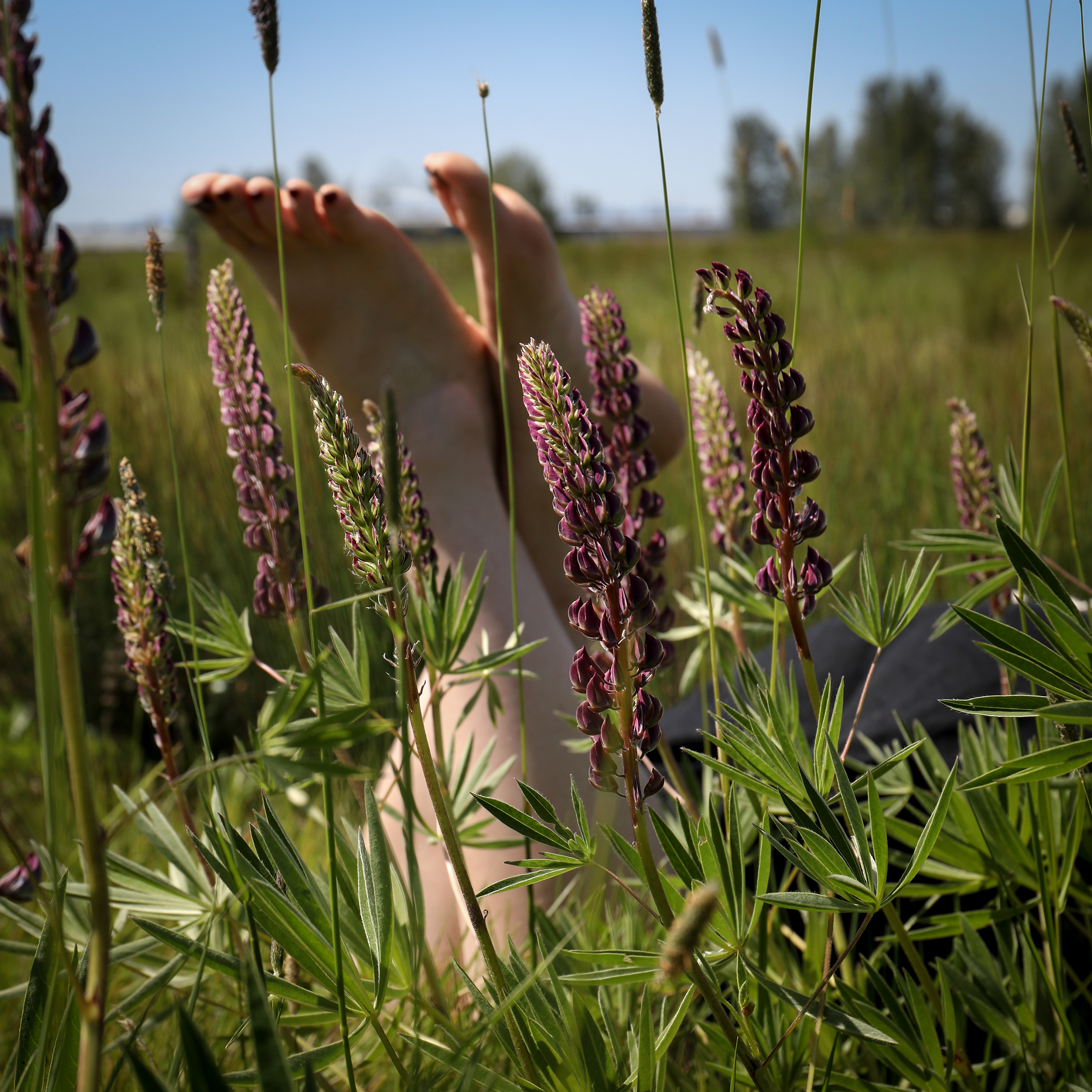 Bare feet sticking up out of fresh plants and flowers. 