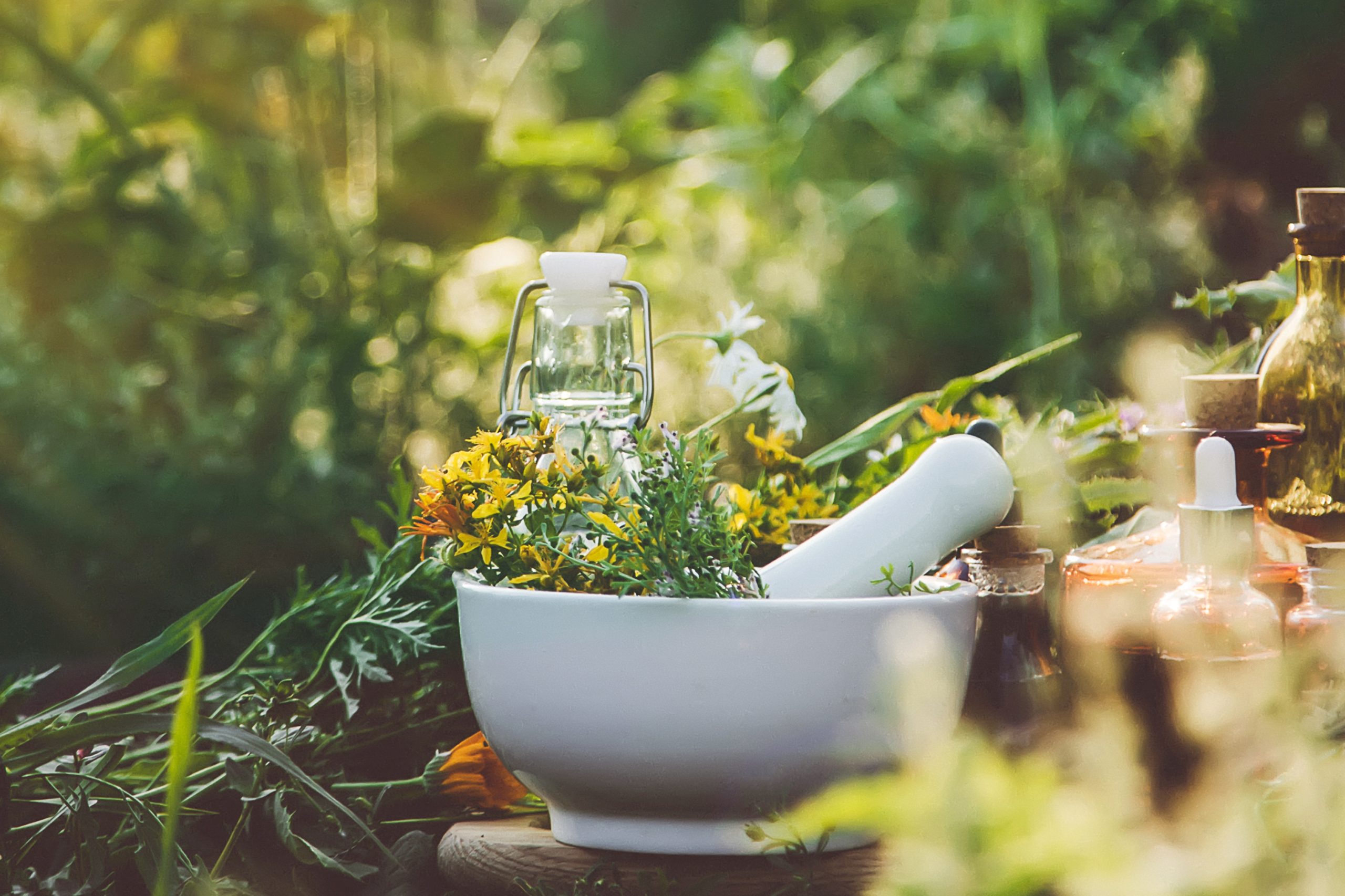 A mortar and pestle filled with fresh plants sits out in a grassy field