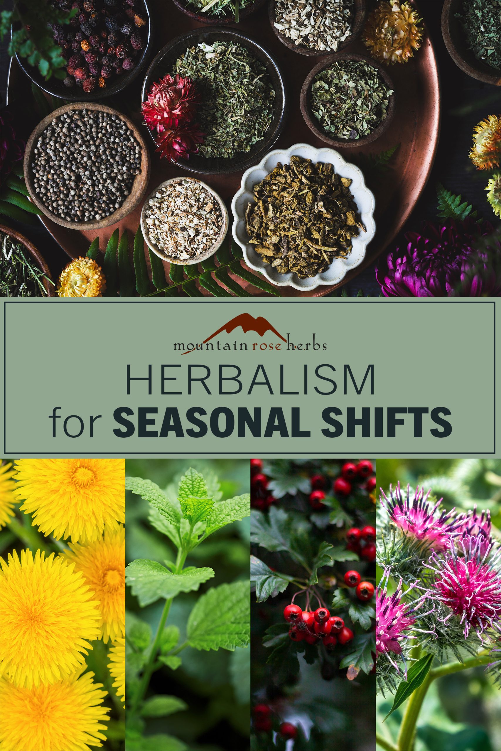 Mountain Rose Herbs PIN photo