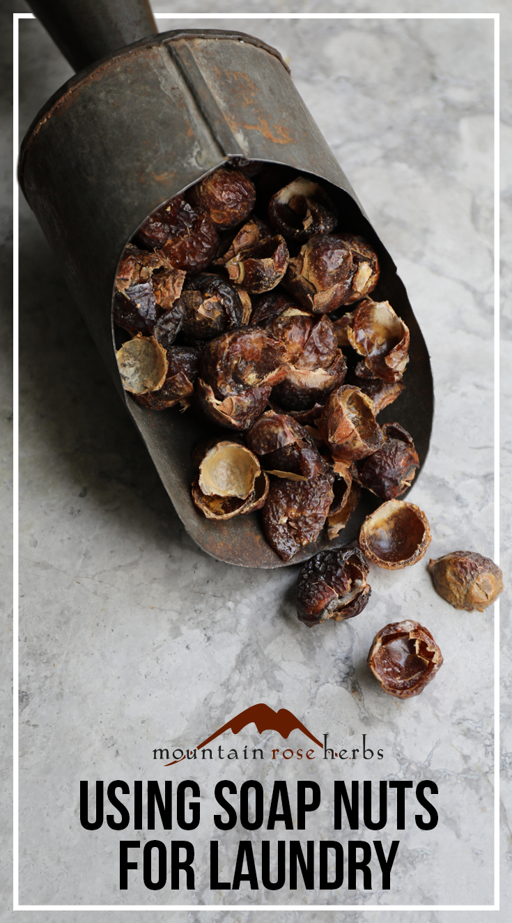 Pin to Using Soap Nuts for Laundry