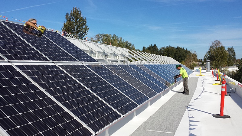 Solar Panels on top of company building
