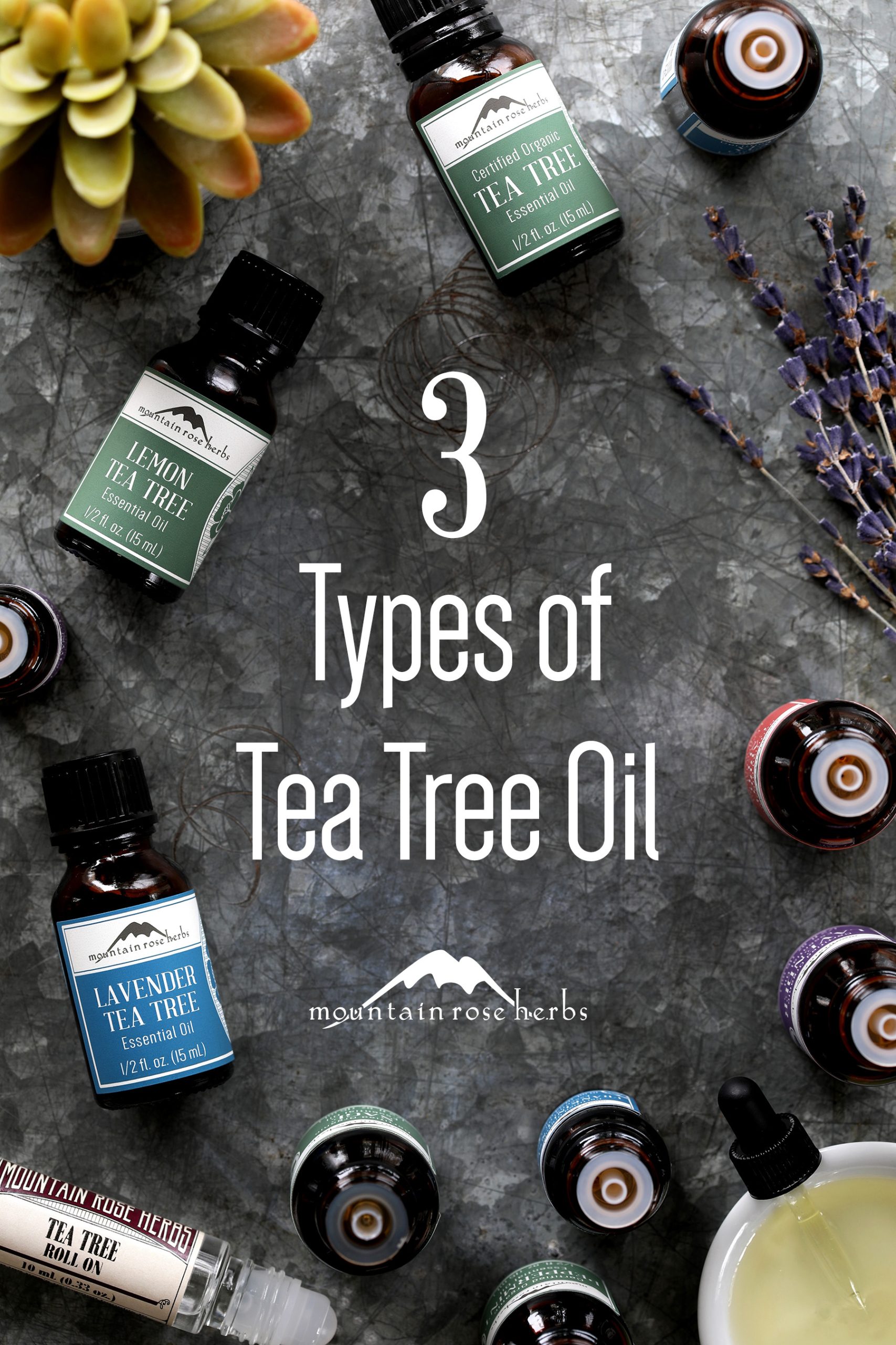 Organic tea tree essential oils include tea tree essential oil, lavender tea tree essential oil, and lemon tea tree essential oil. Packed in amber glass bottles with brightly colored labeling.
