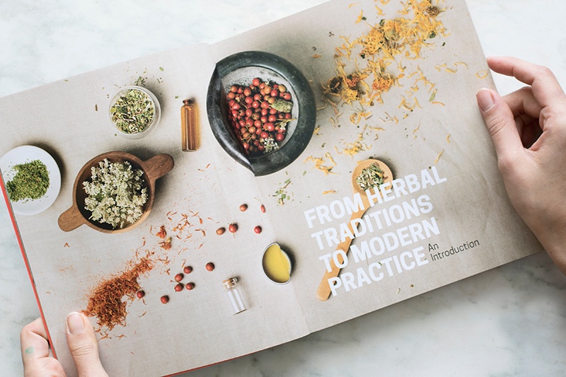 New in the Shop: The Herbal Apothecary