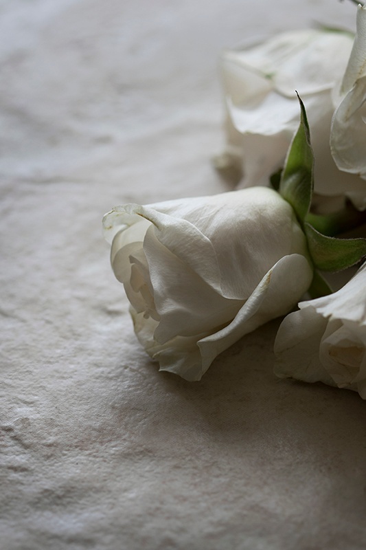 whiterosehydrosol02_lr
