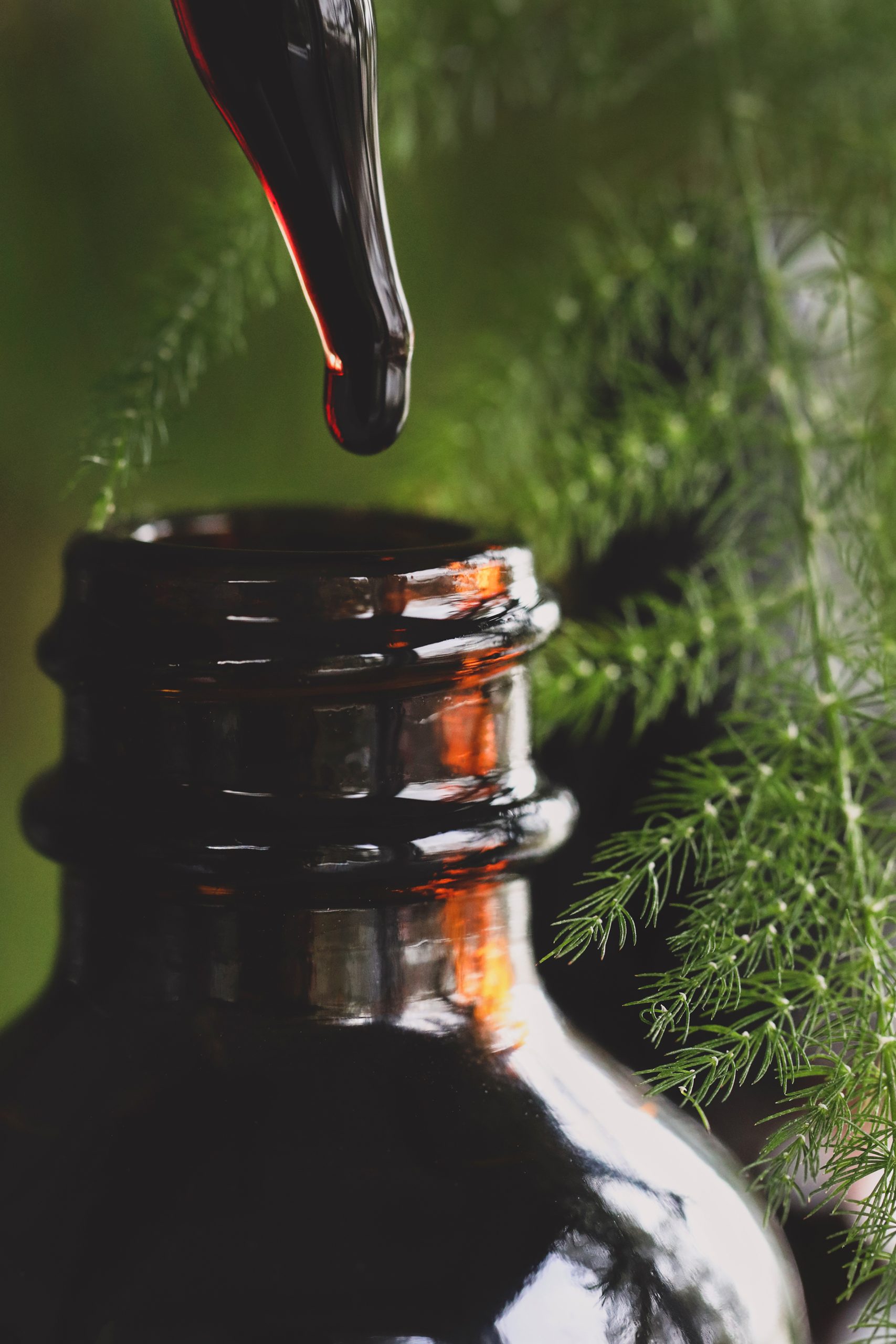 Tincture dripping into a bottle of First Signs winter wellness formula