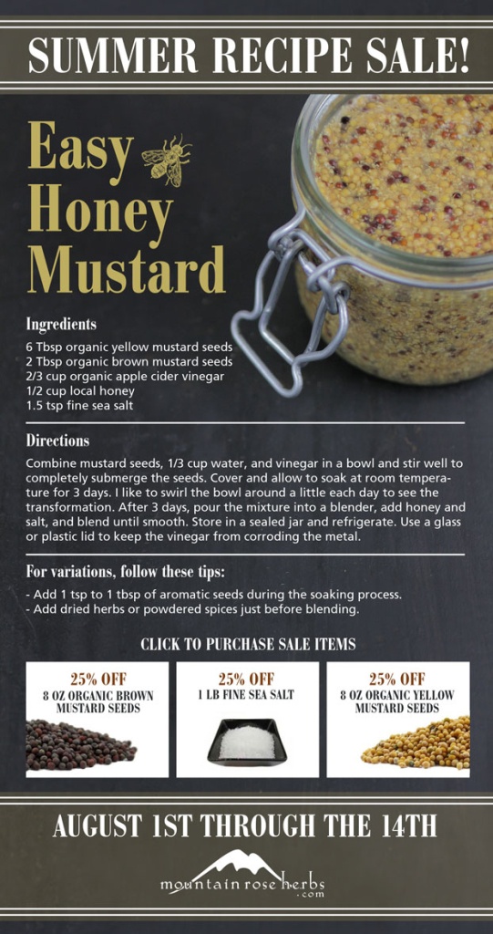 Summer Recipe Sale: 25% off Easy Honey Mustard