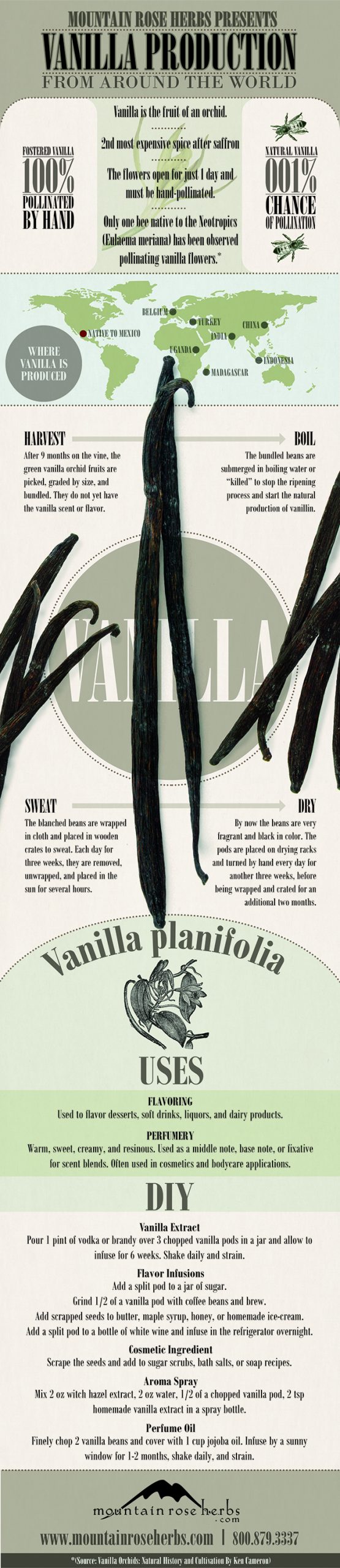 vanilla infographic.jpg vanilla infographic.jpg