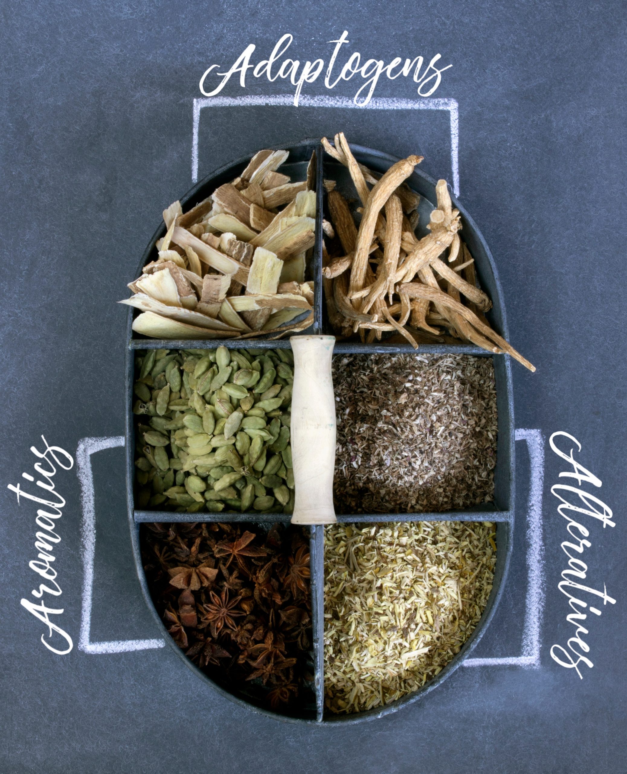 Displayed botanicals with herbal actions written on chalkboard.