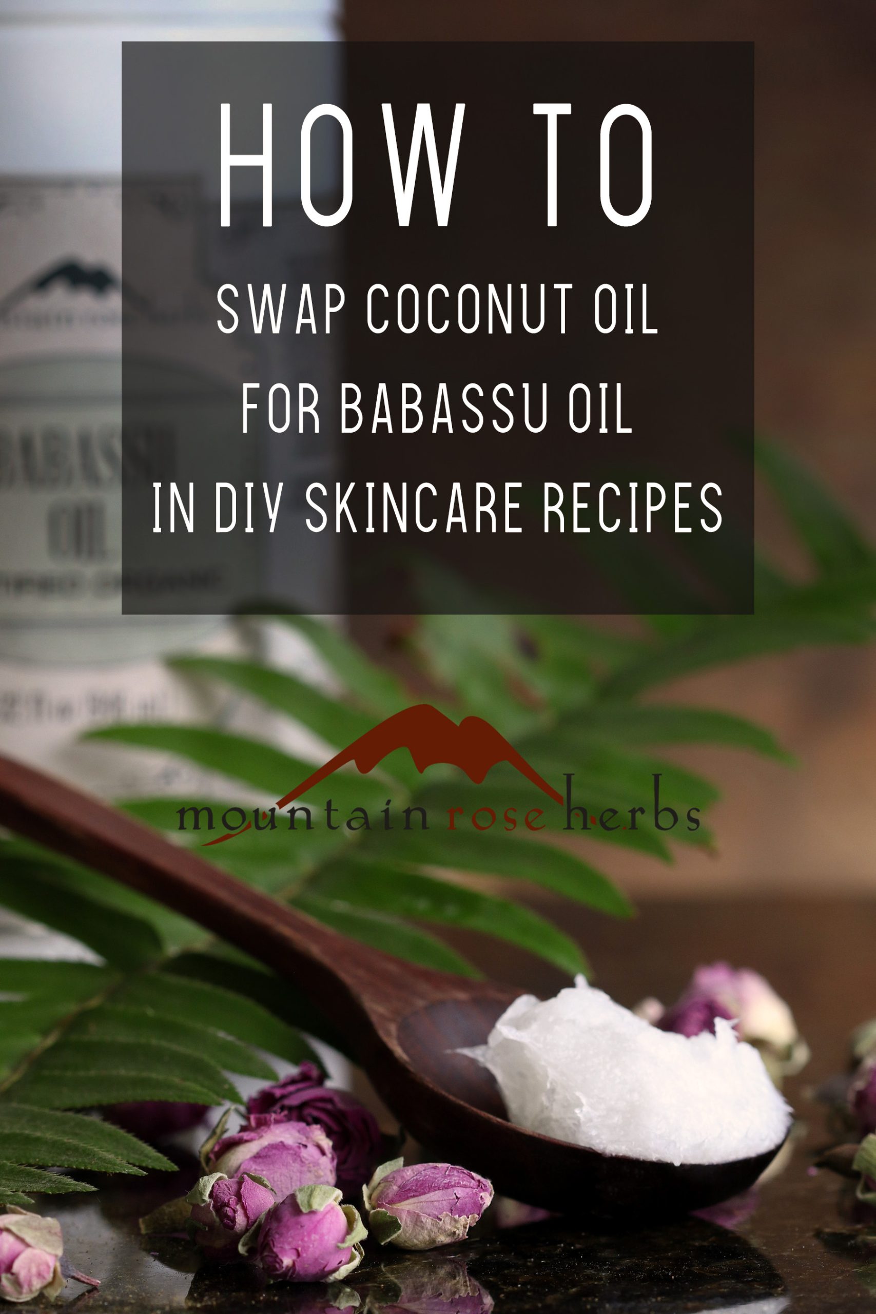 BabassuPIN-blog copy