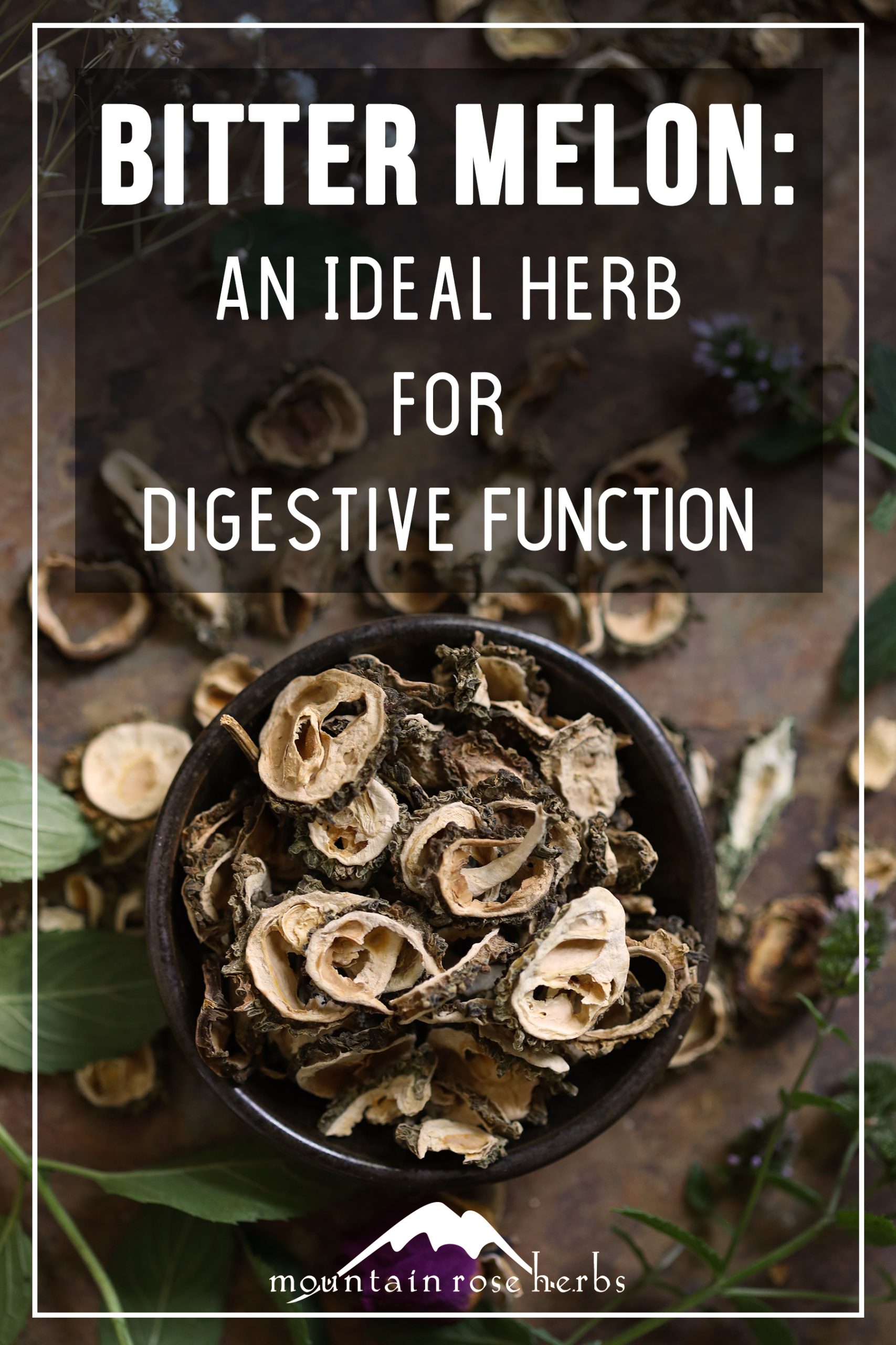 Bitter melon on Pinterest