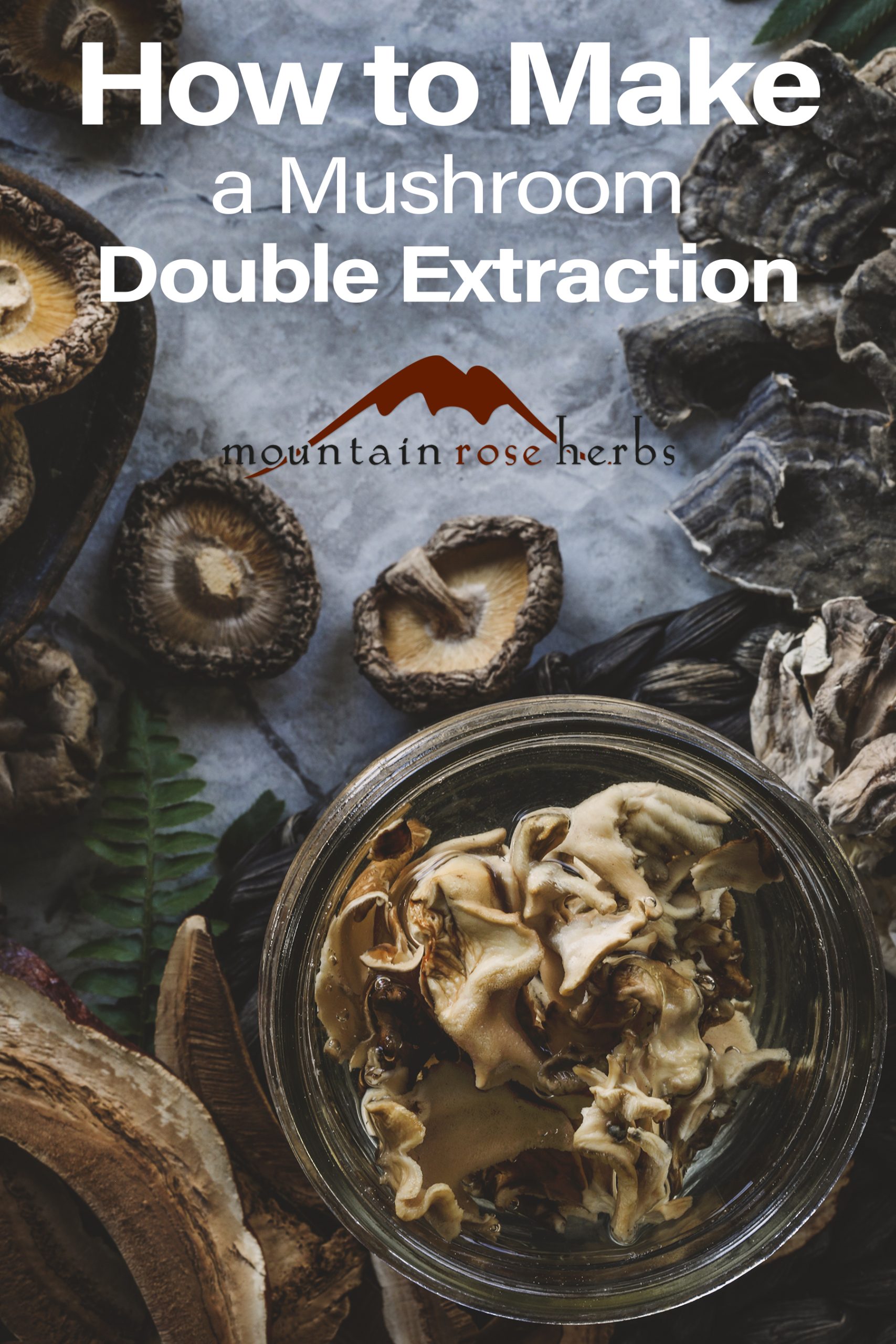 Mushroom Extract: How to Make a Double Extraction Pinterest pin for Mountain Rose Herbs