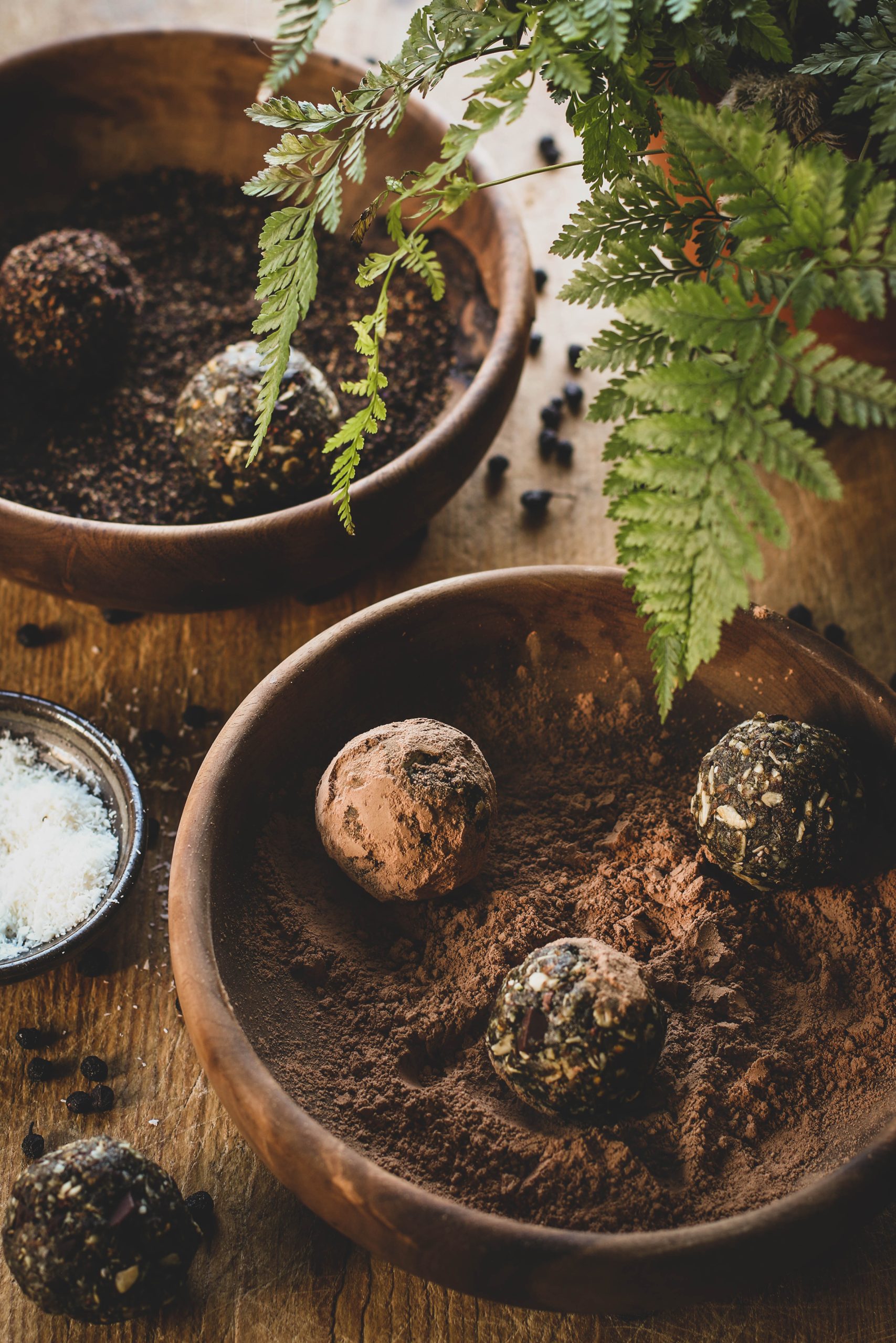 Chocolate energy bites in rustic bowls with fern plant. 