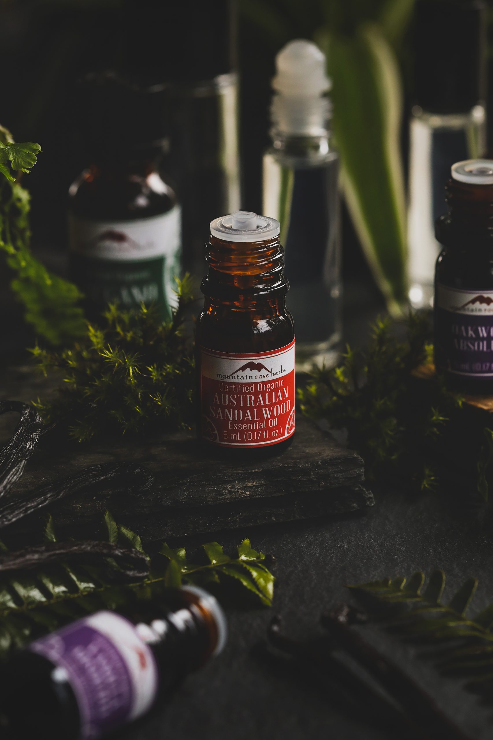 Bottles of essential oils surrounded by fresh plants and a dark and evocative scene.