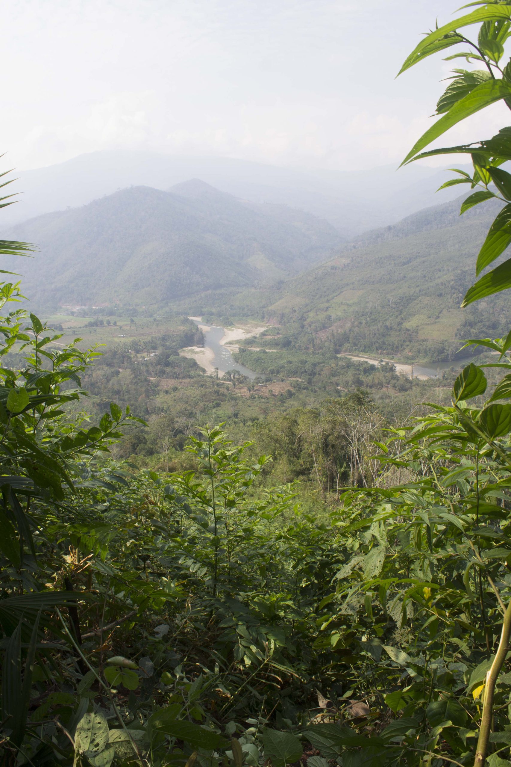 View of Peruvian mountains and valley from hillside of ginger farm