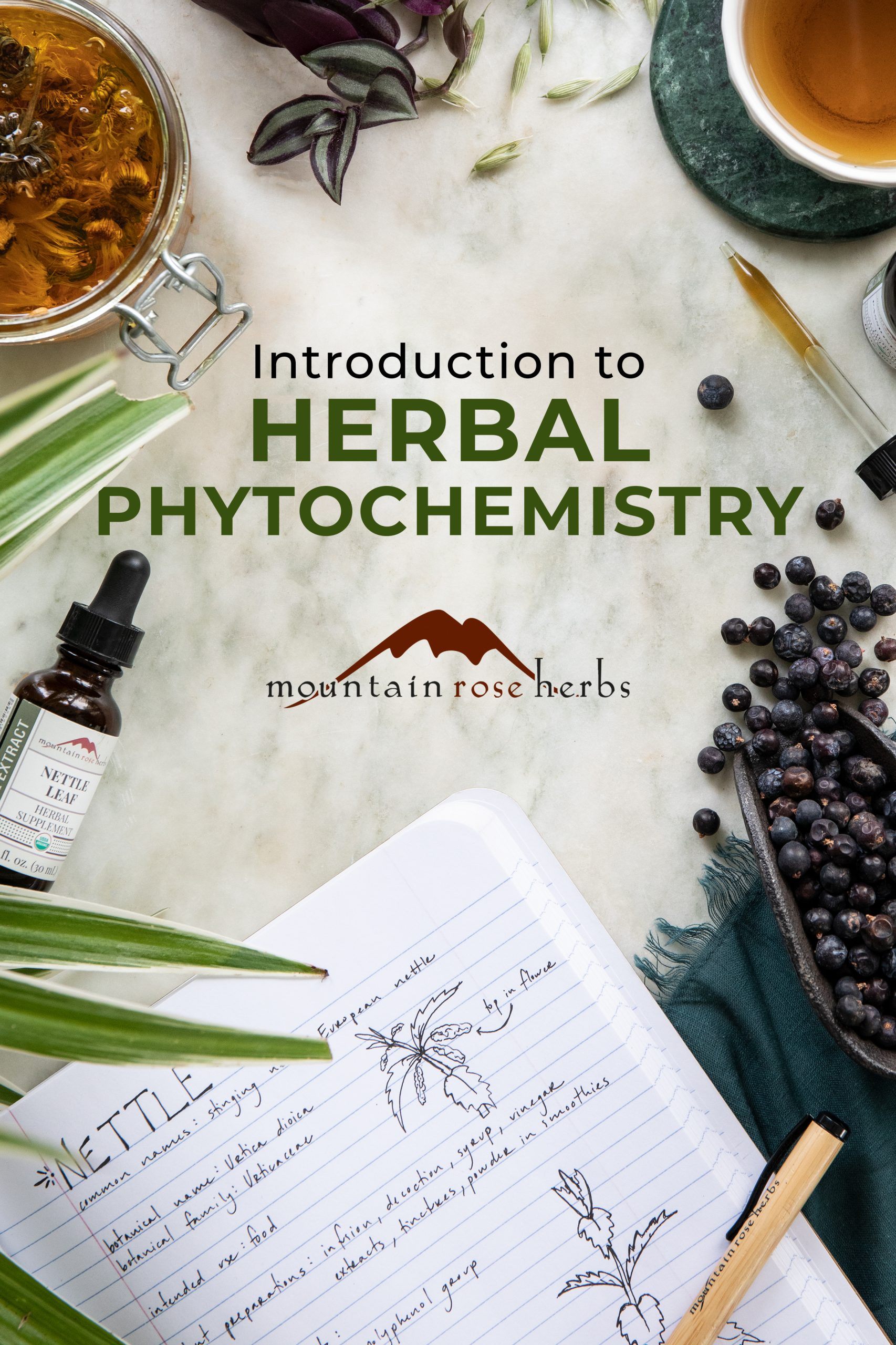 Pinterest Image for Herbal Phytochemistry 101