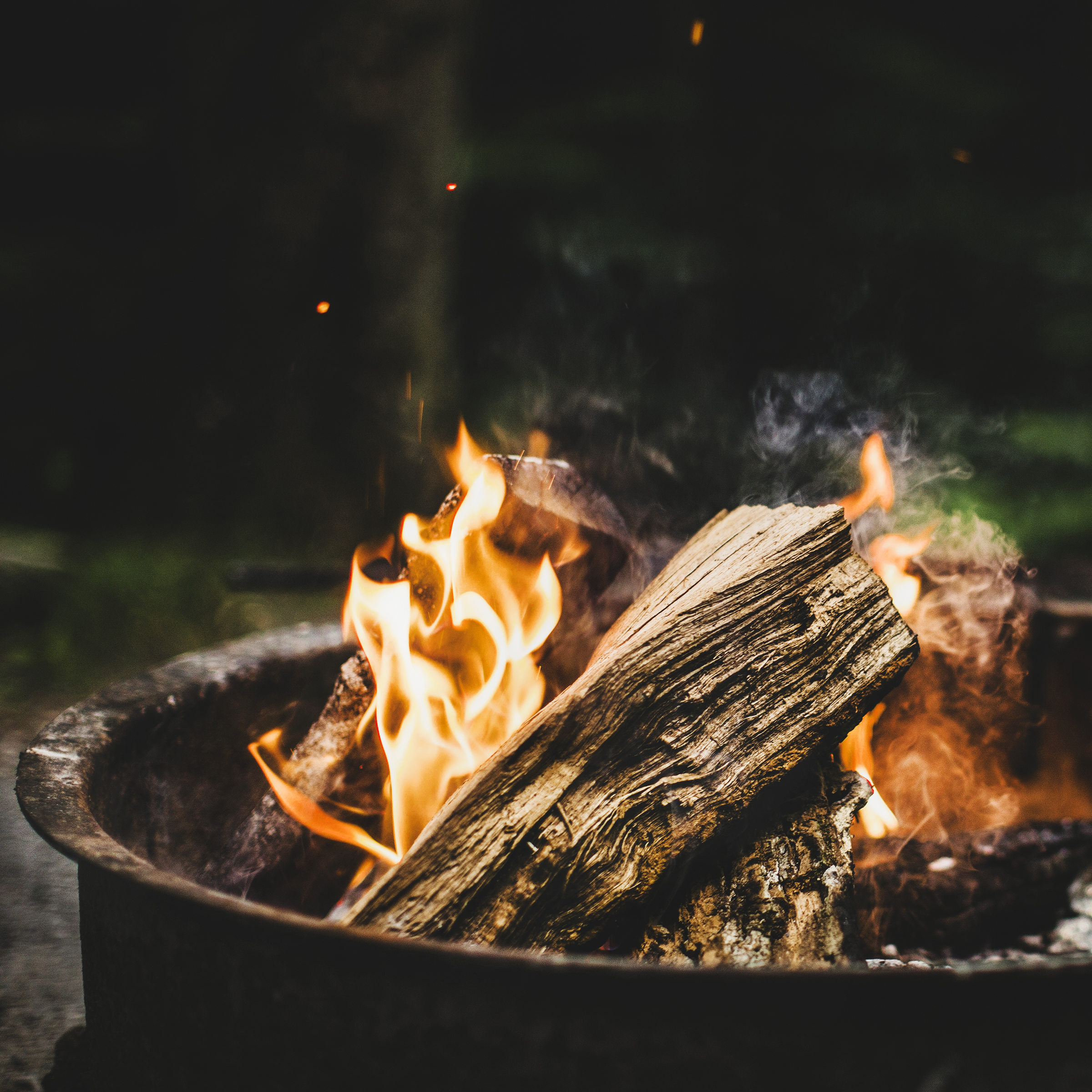 Protecting At Risk Plants - Fire