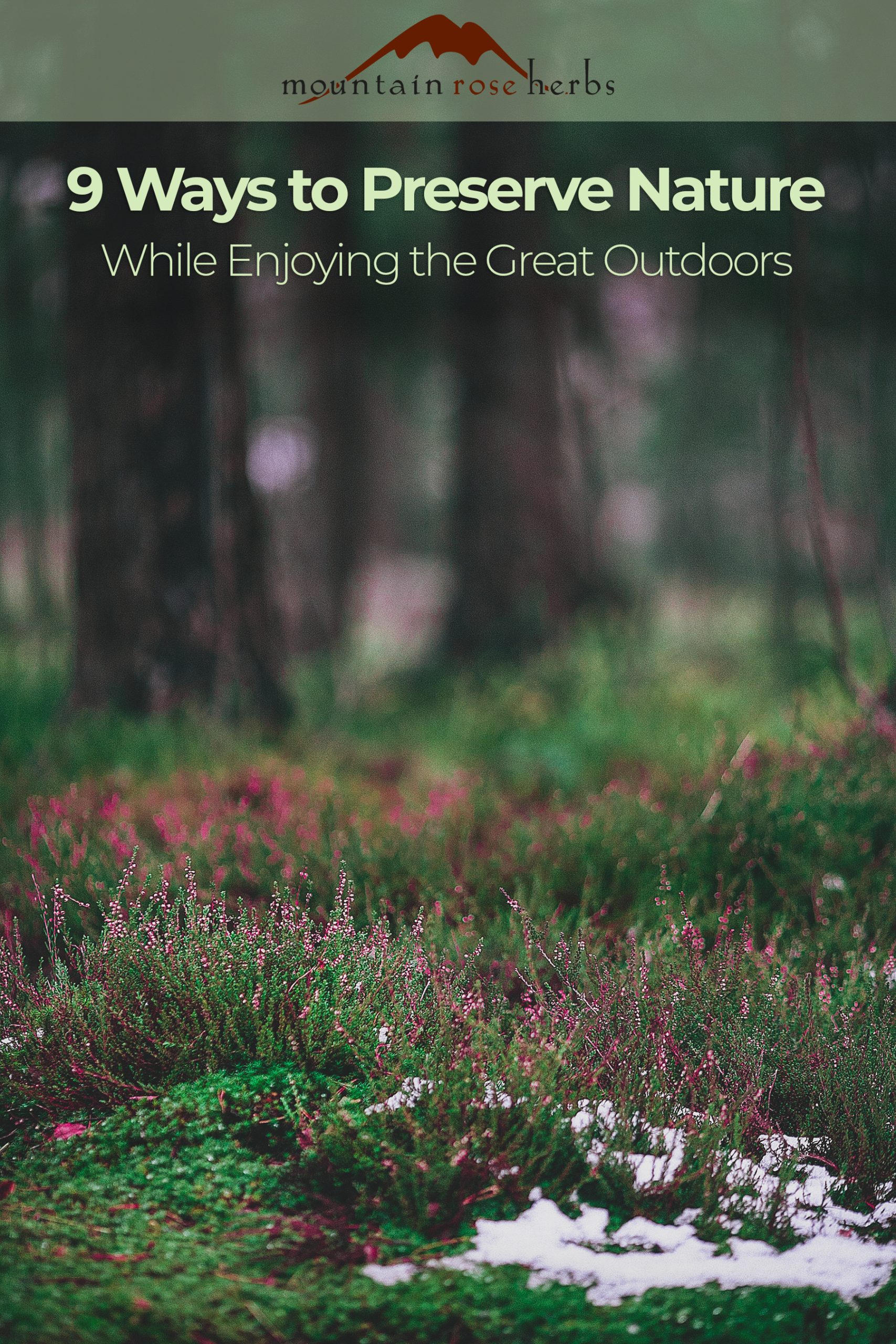 Pinterest Photo to Blog on Protecting At Risk Plants While Hiking, Camping, Biking, and Recreating. 