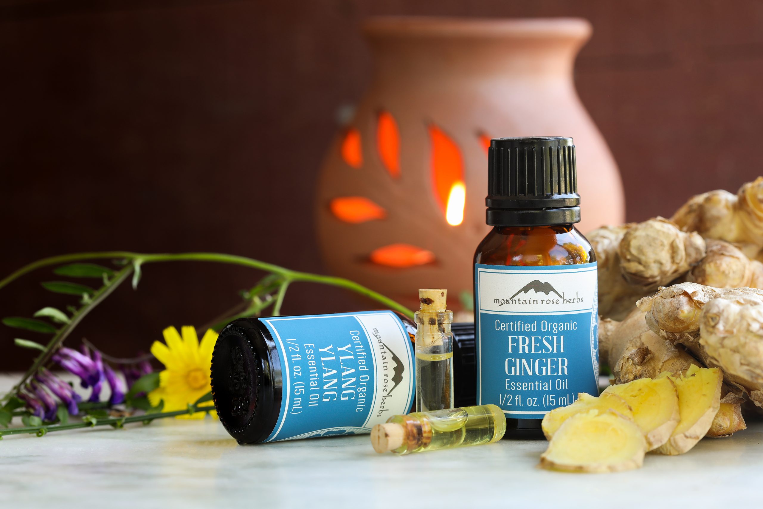Bottles of ylang ylang and fresh ginger essential oils surrounded by fresh ginger root, flowers and a candle powered ceramic diffuser.
