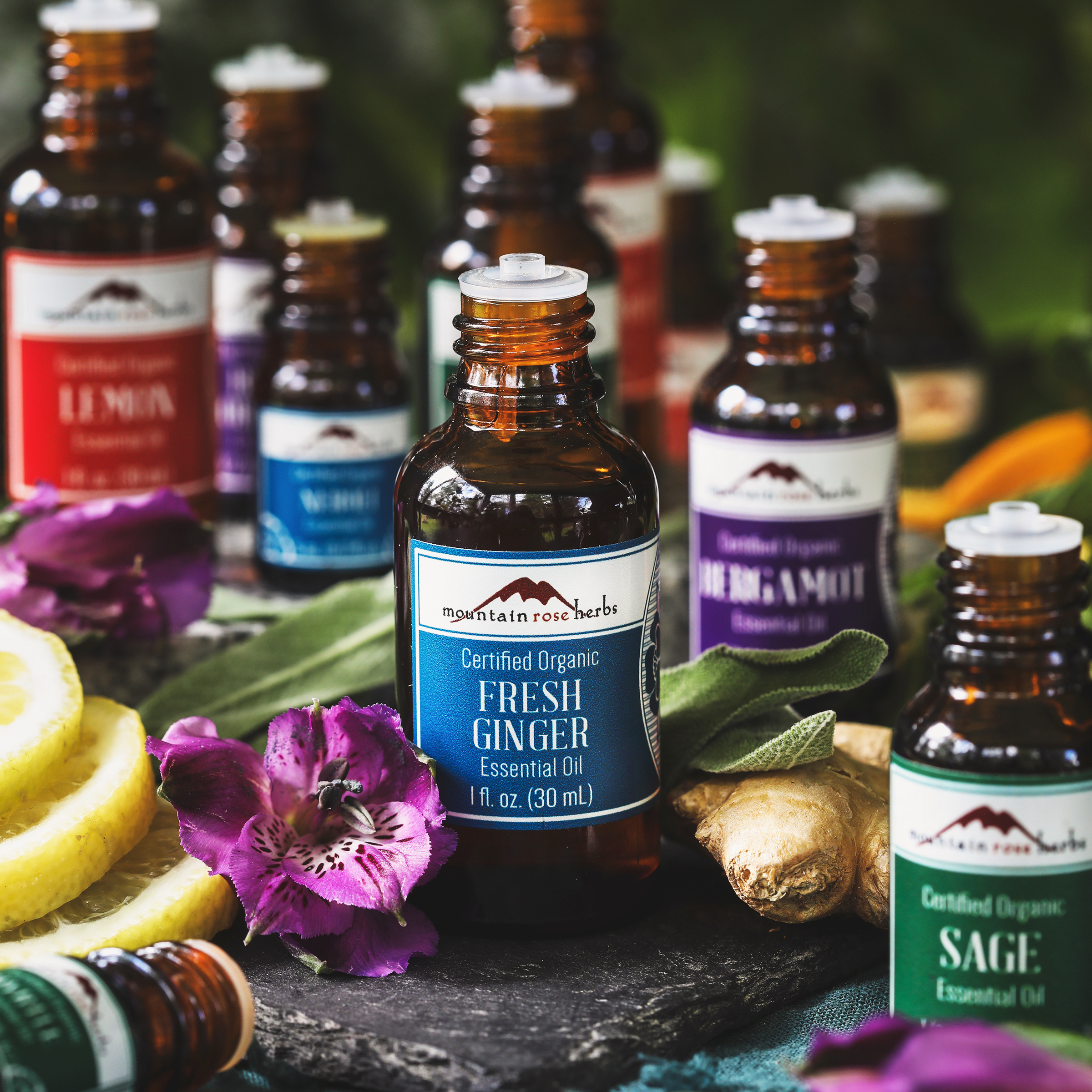 Fresh ginger essential oil among others