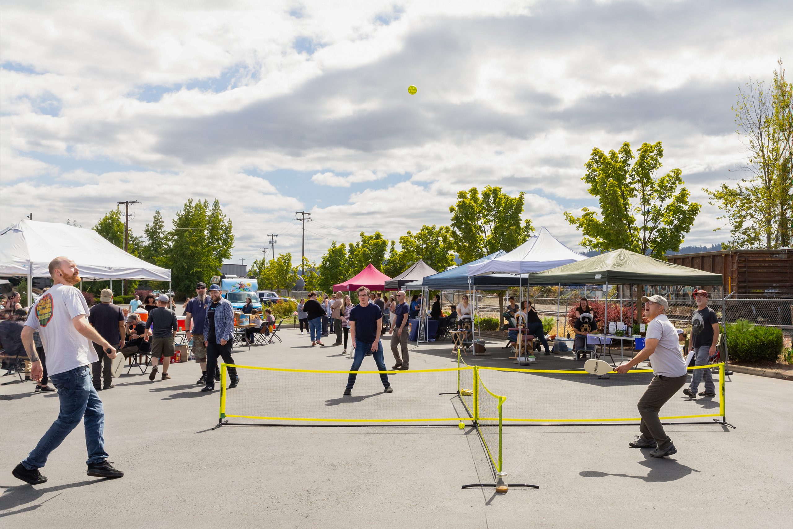 Wellness Fair - Pickle Ball