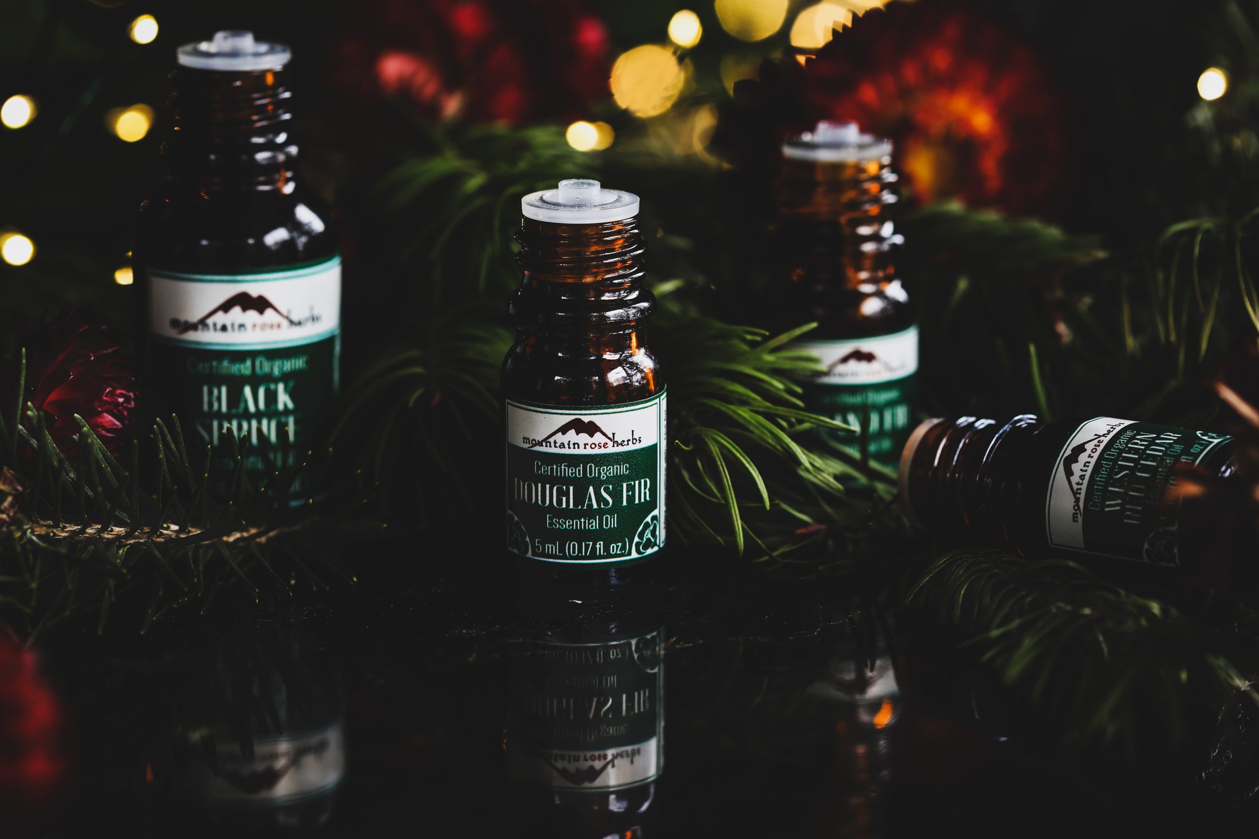 Winter Essential Oils Tree Scents